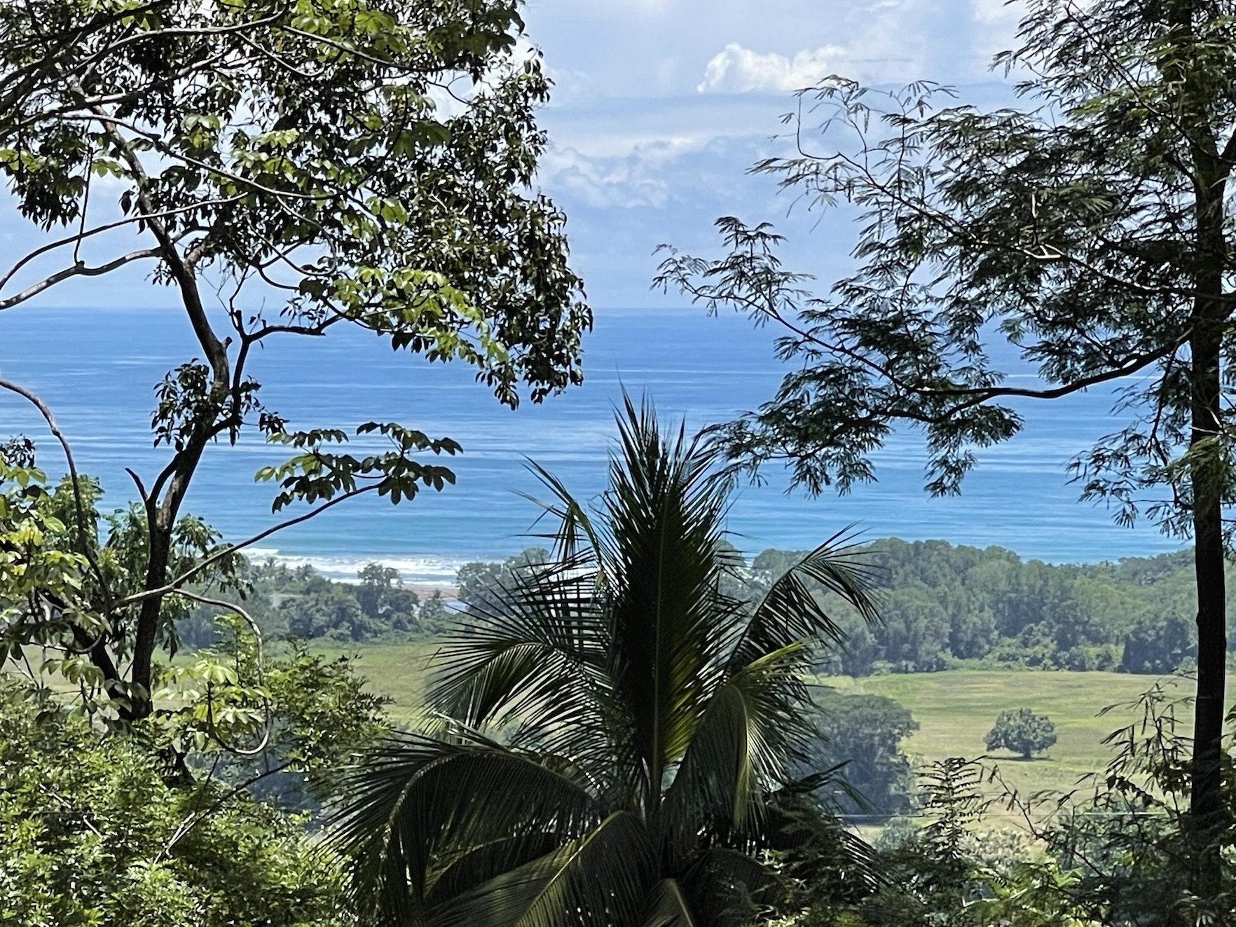 0 bed Land For Sale in Savegre, Puntarenas - thumb 3