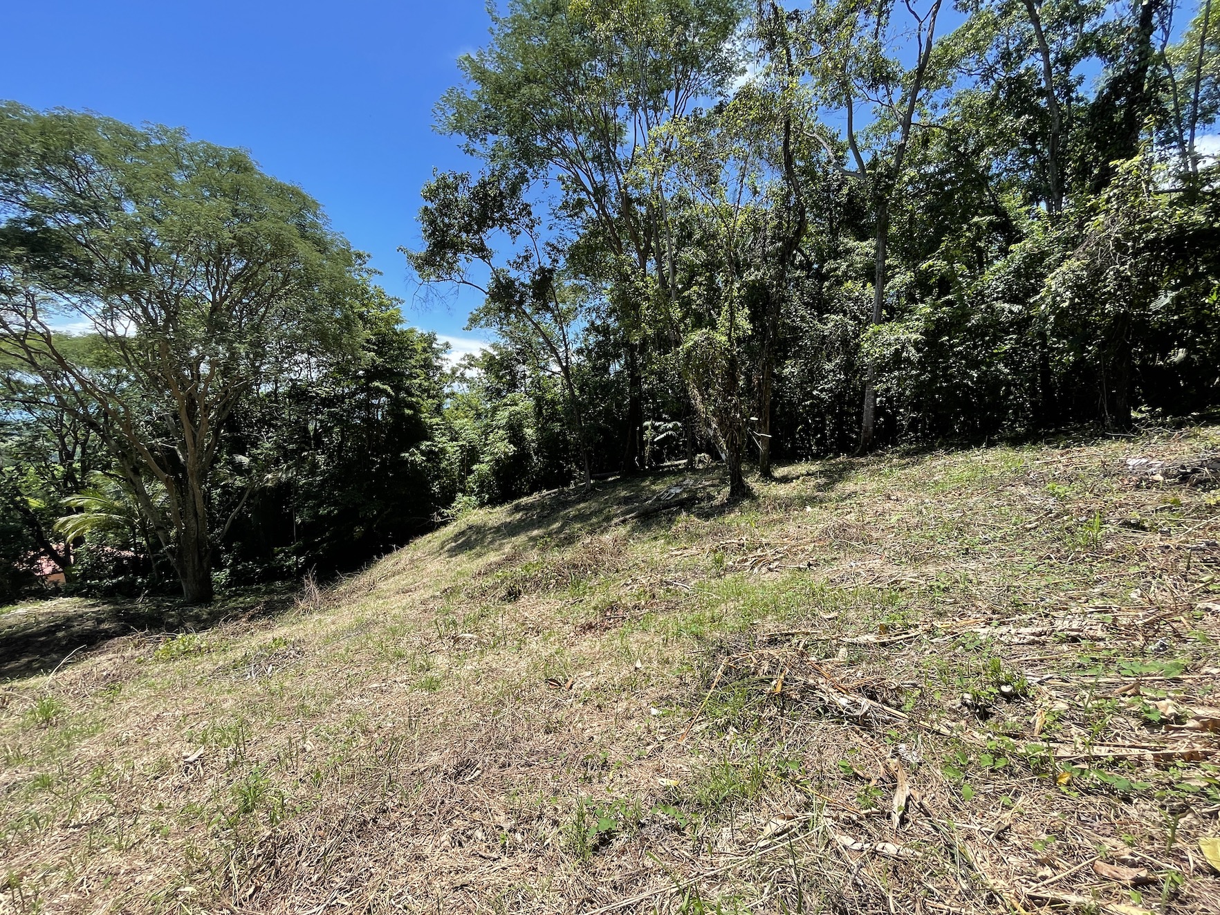 0 bed Land For Sale in Savegre, Puntarenas - thumb 9