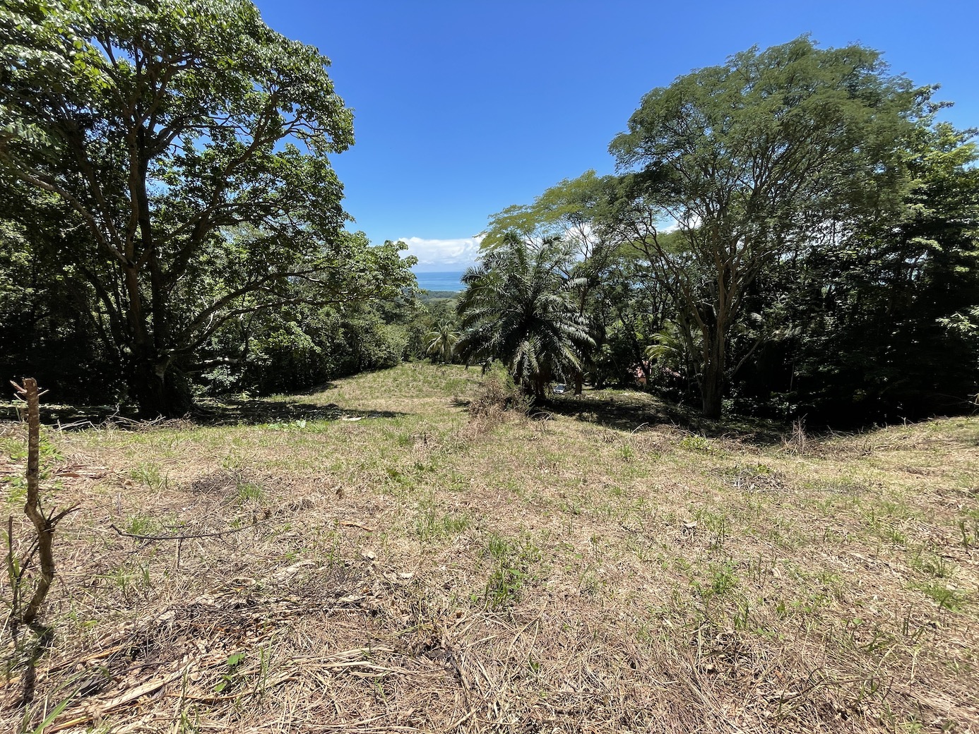 0 bed Land For Sale in Savegre, Puntarenas - thumb 8