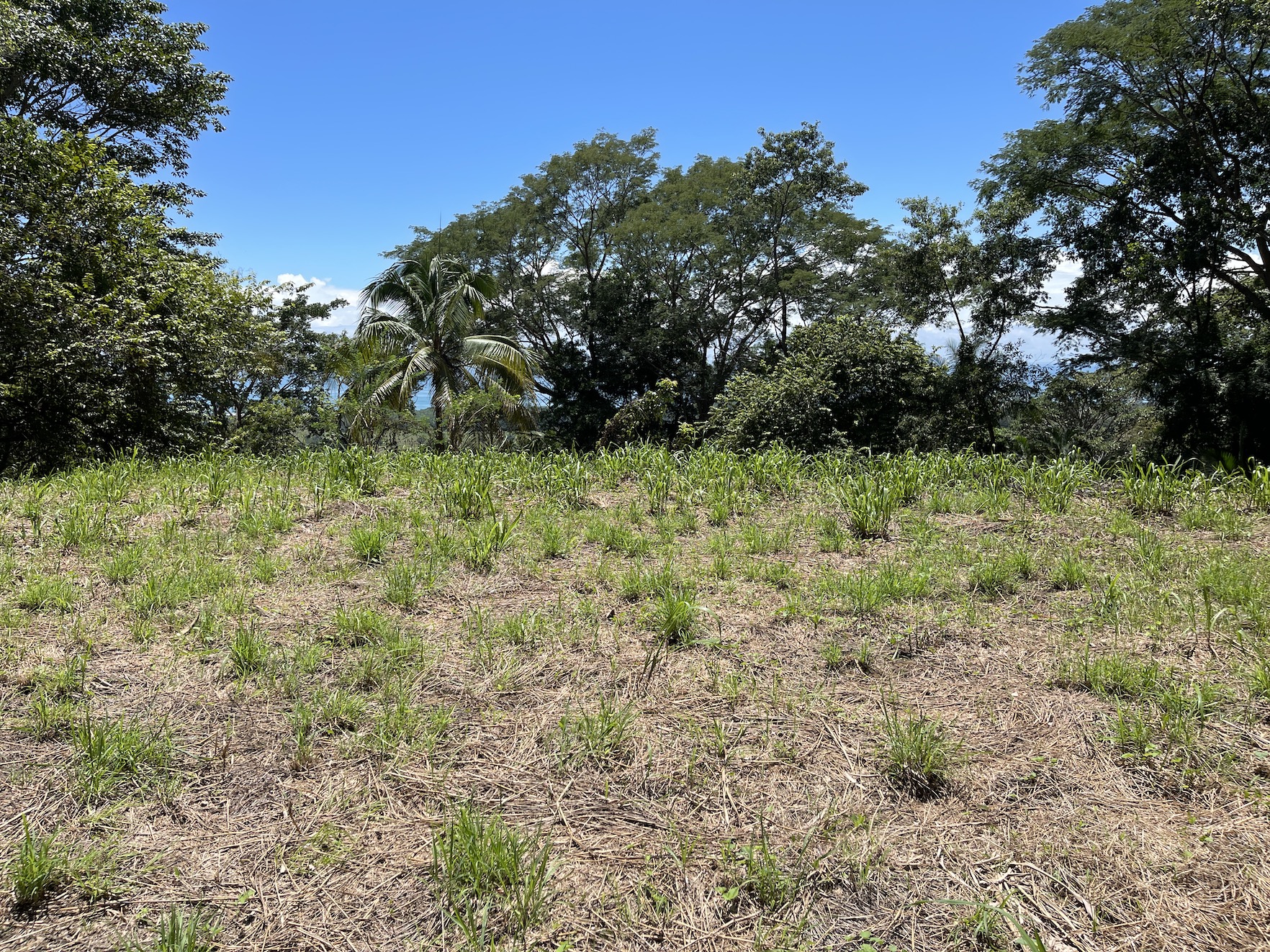 0 bed Land For Sale in Savegre, Puntarenas - thumb 6