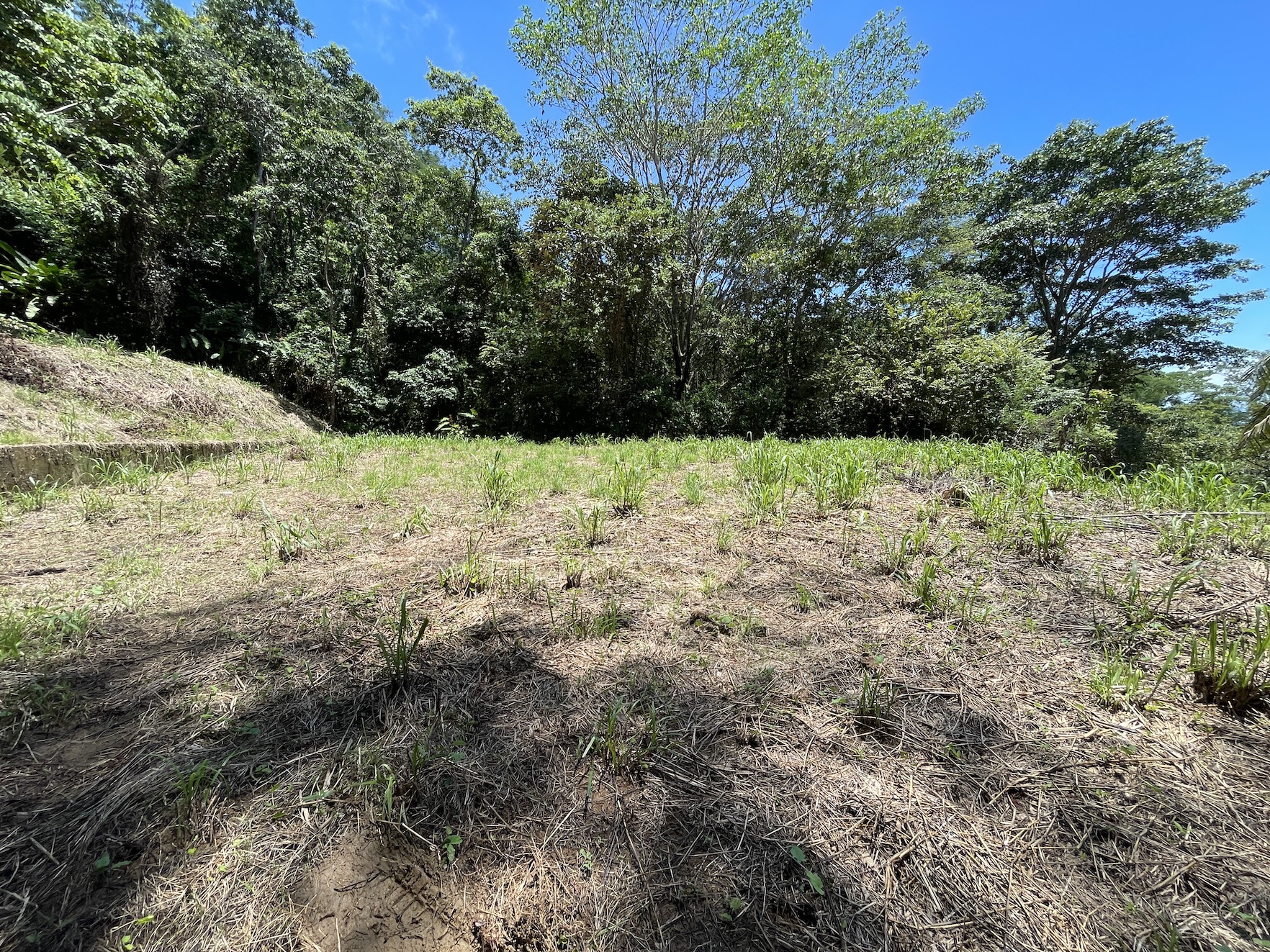 0 bed Land For Sale in Savegre, Puntarenas - thumb 5