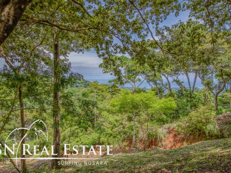 Luxury Homes For Sale Nosara Costa Rica Real Estate Condos