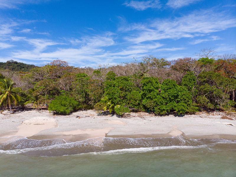 1 bed Land For Sale in Cabuya, Puntarenas - 1