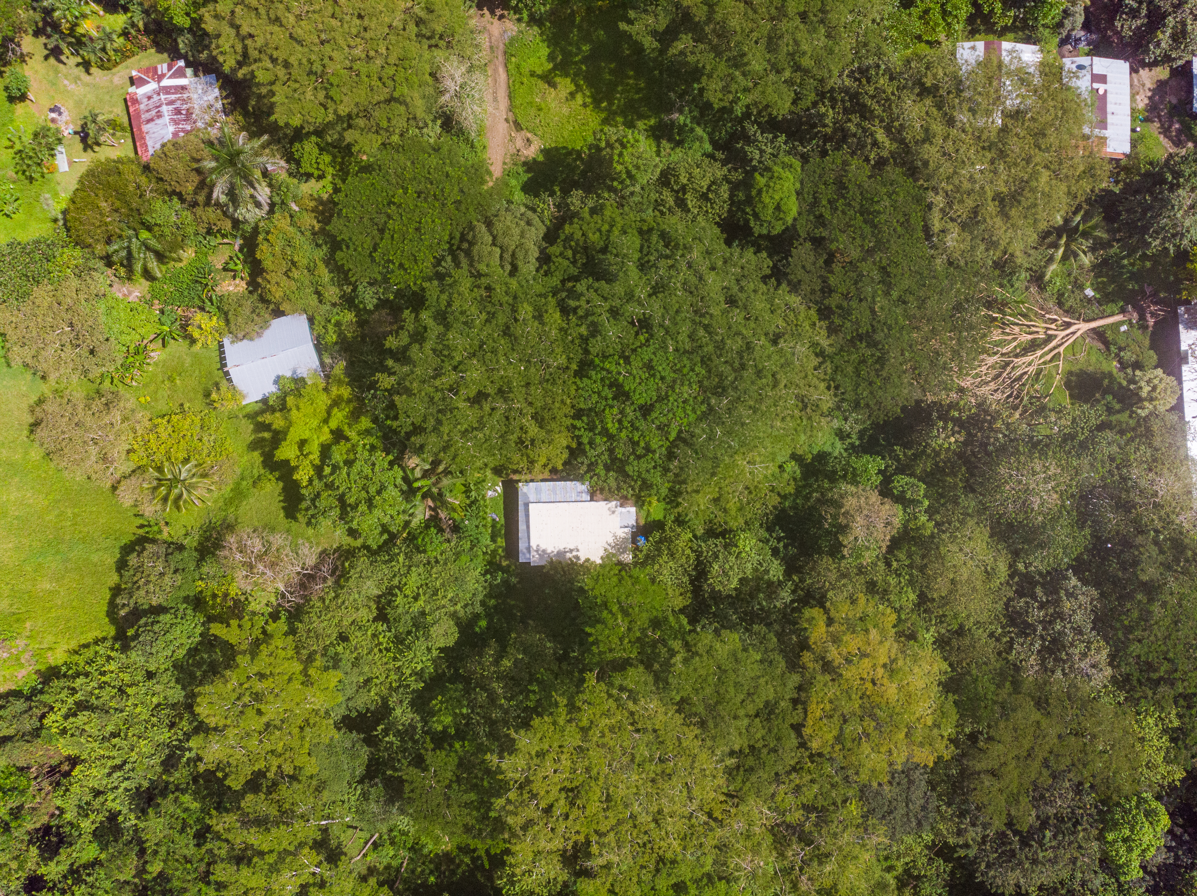 2 bed Single Family Homes For Sale in Cabuya, Puntarenas - thumb 8