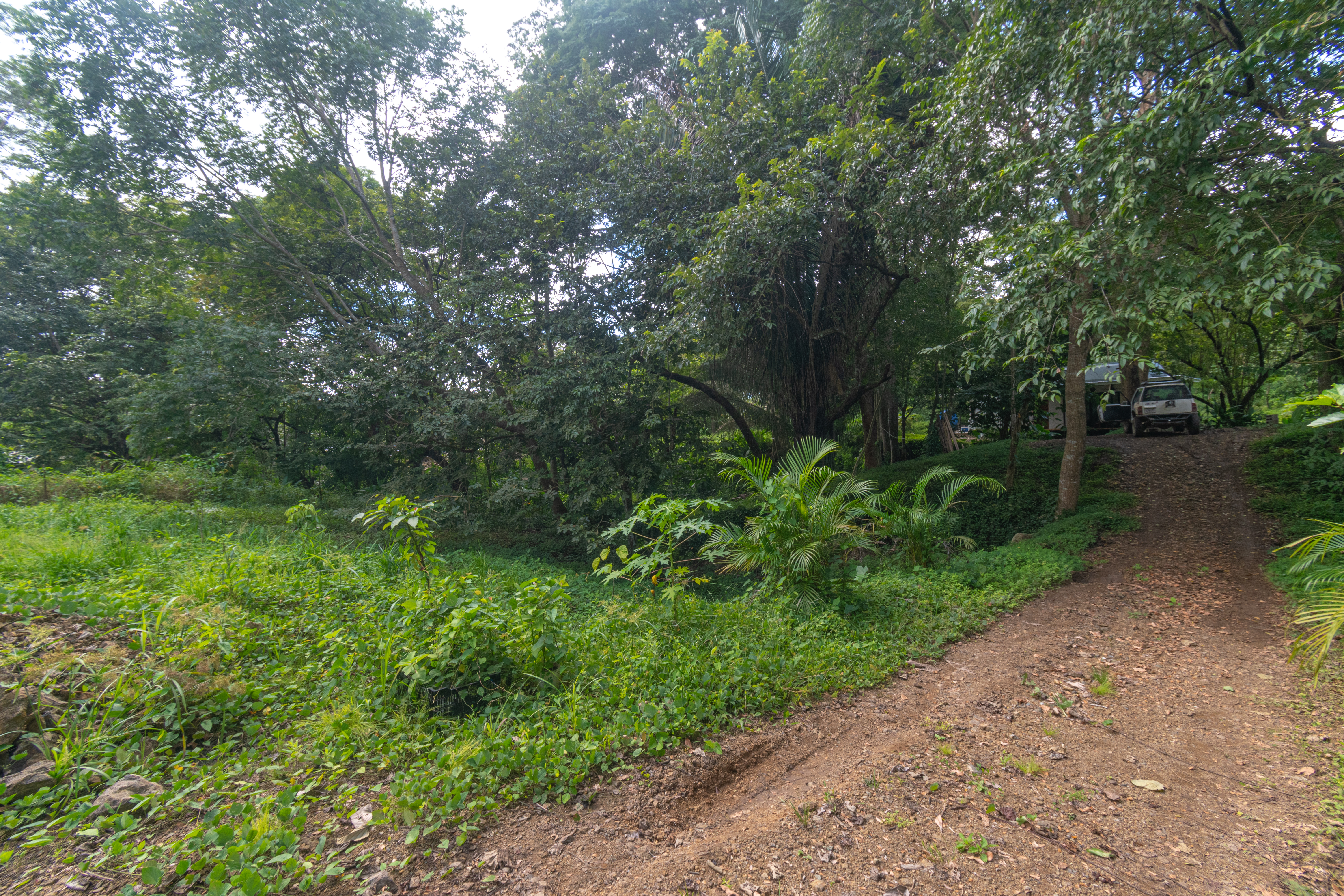 2 bed Single Family Homes For Sale in Cabuya, Puntarenas - thumb 7