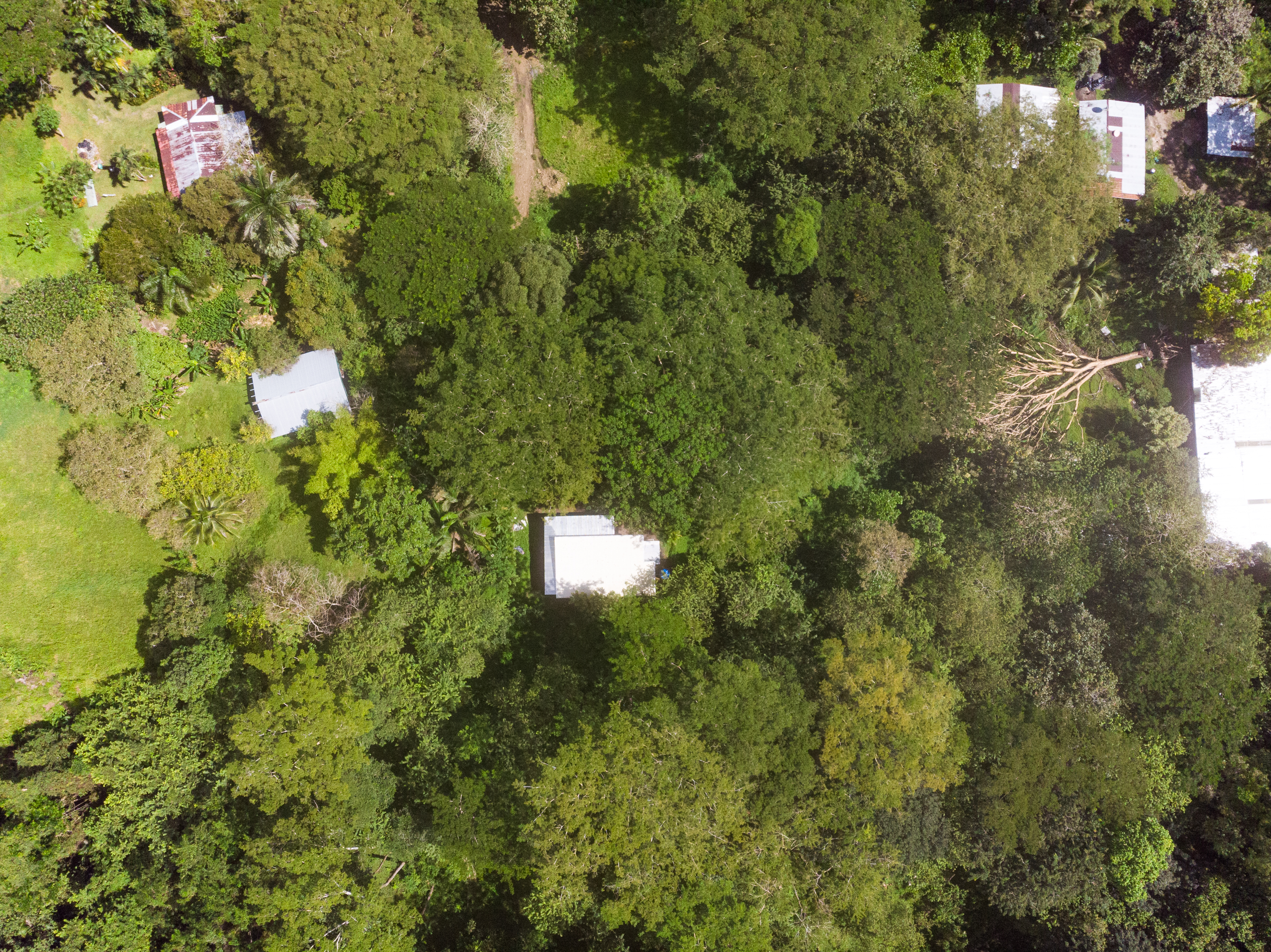 2 bed Single Family Homes For Sale in Cabuya, Puntarenas - thumb 13