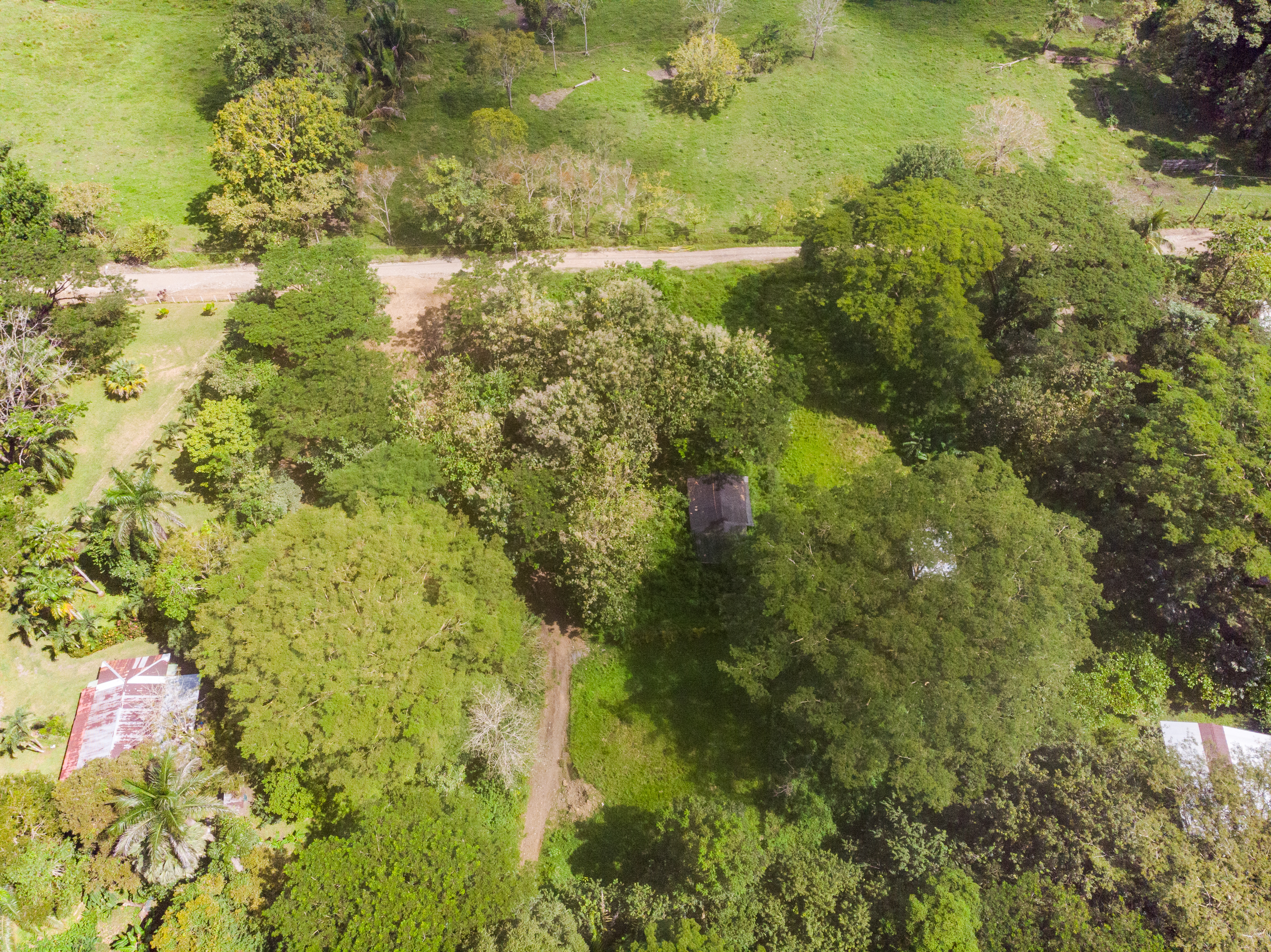 2 bed Single Family Homes For Sale in Cabuya, Puntarenas - thumb 11