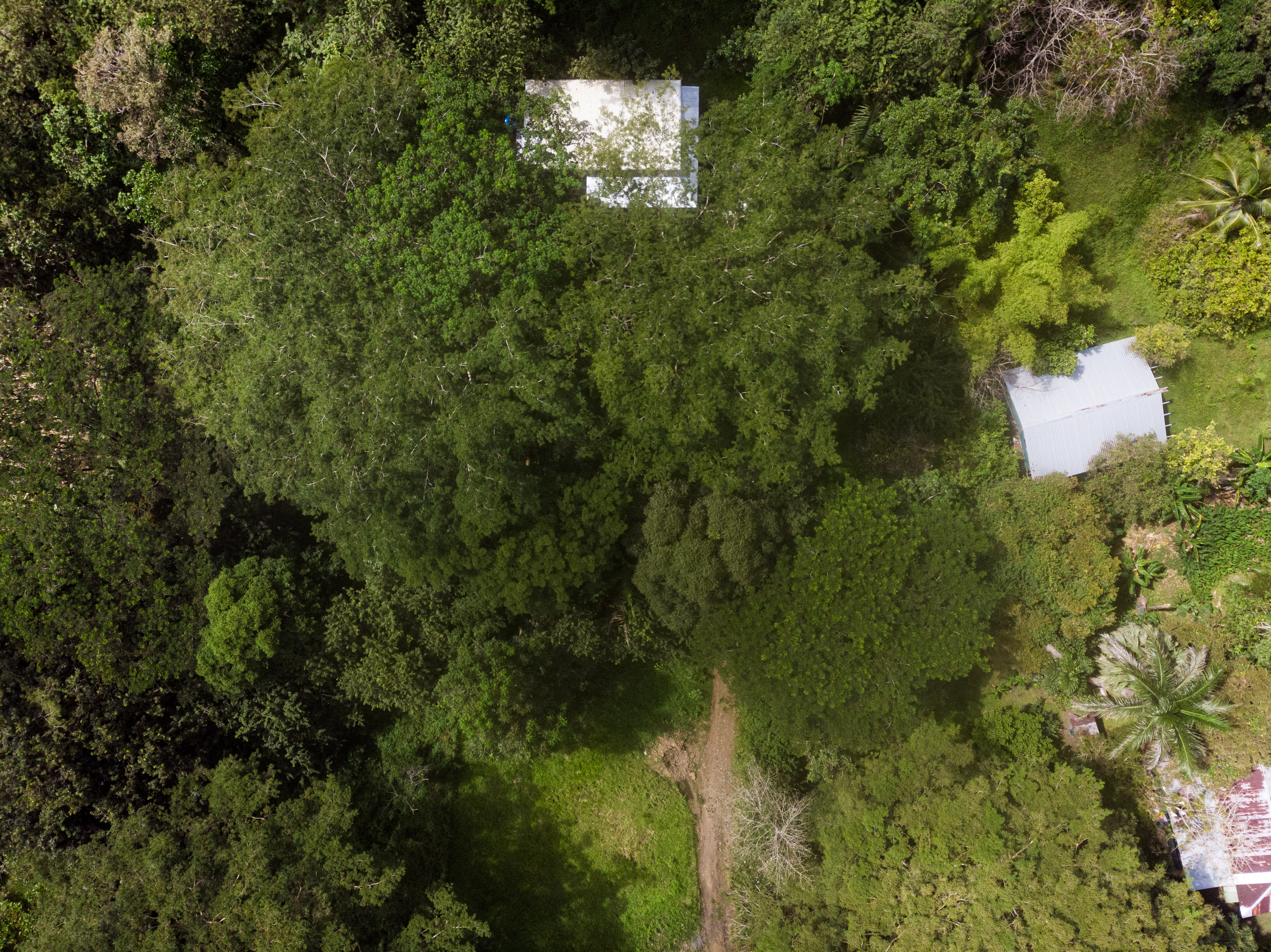 2 bed Single Family Homes For Sale in Cabuya, Puntarenas - thumb 9