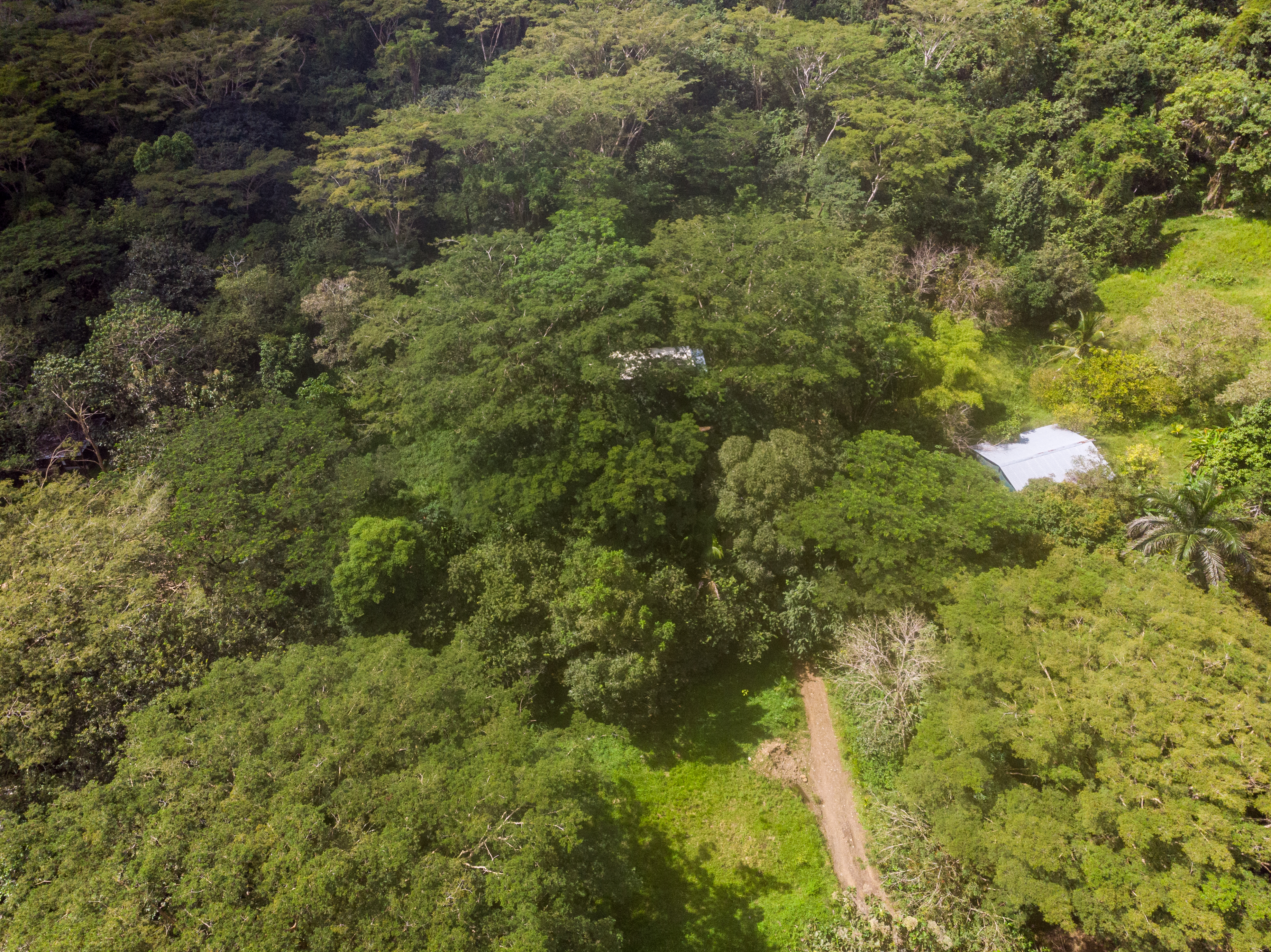 2 bed Single Family Homes For Sale in Cabuya, Puntarenas - thumb 10