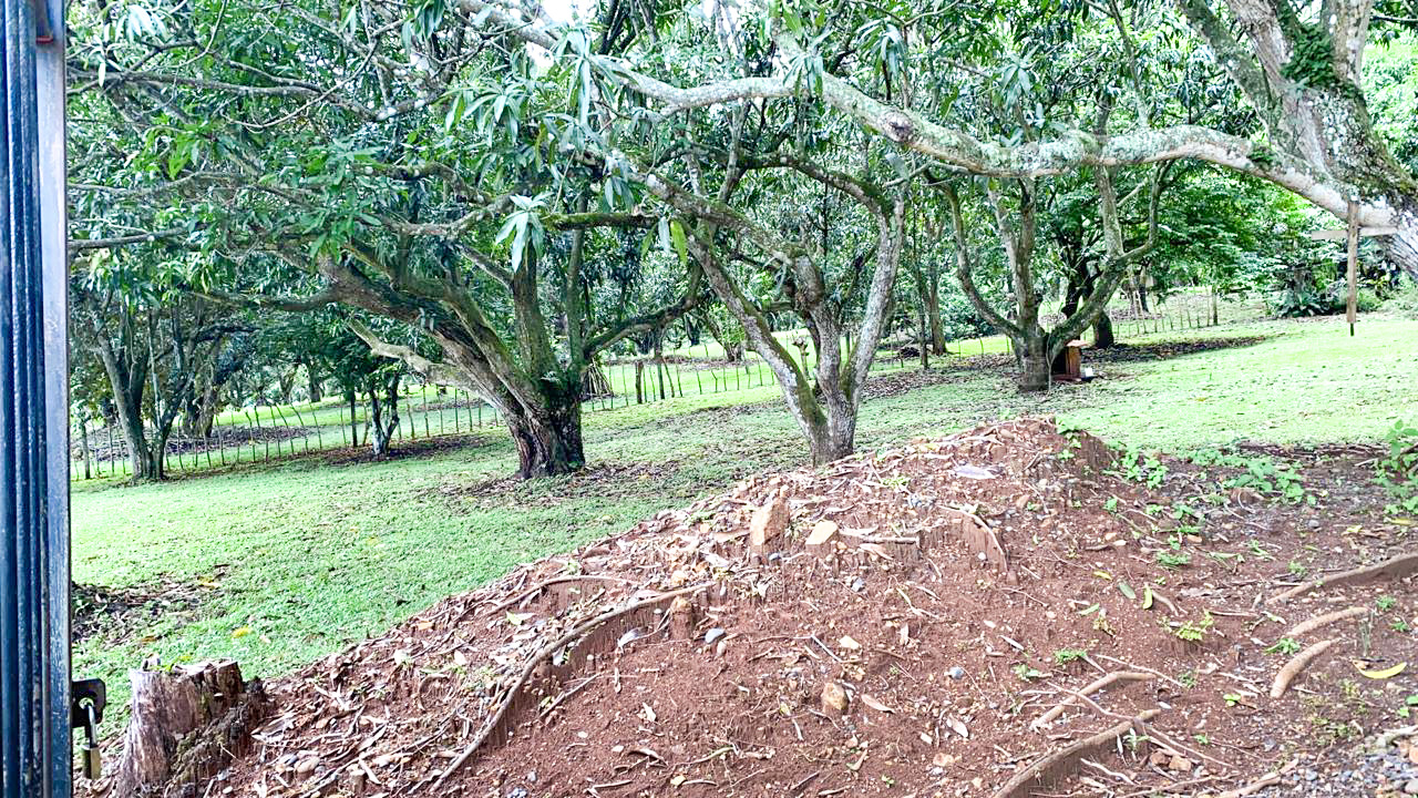 0 bed Land For Sale in Orotina, Alajuela - thumb 2