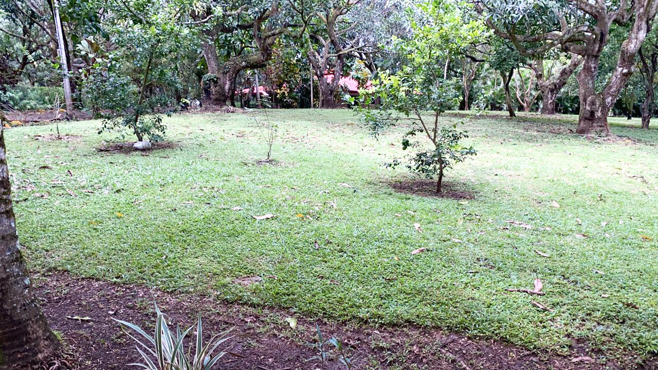 0 bed Land For Sale in Orotina, Alajuela - thumb 3
