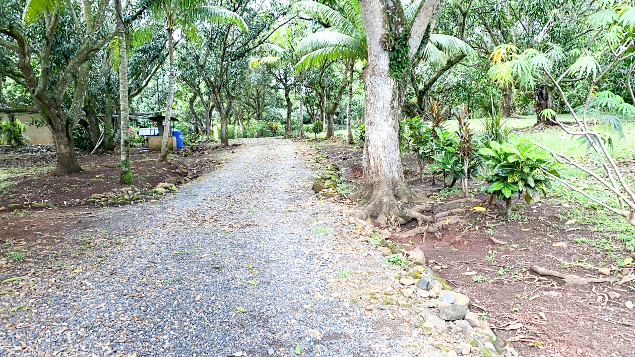 0 bed Land For Sale in Orotina, Alajuela - thumb 1