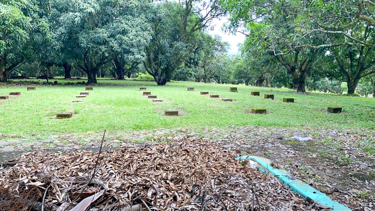 0 bed Land For Sale in Orotina, Alajuela - thumb 11