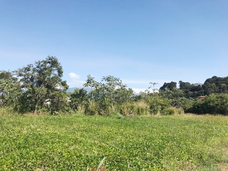0 bed Land For Sale in Orotina, Alajuela - 1