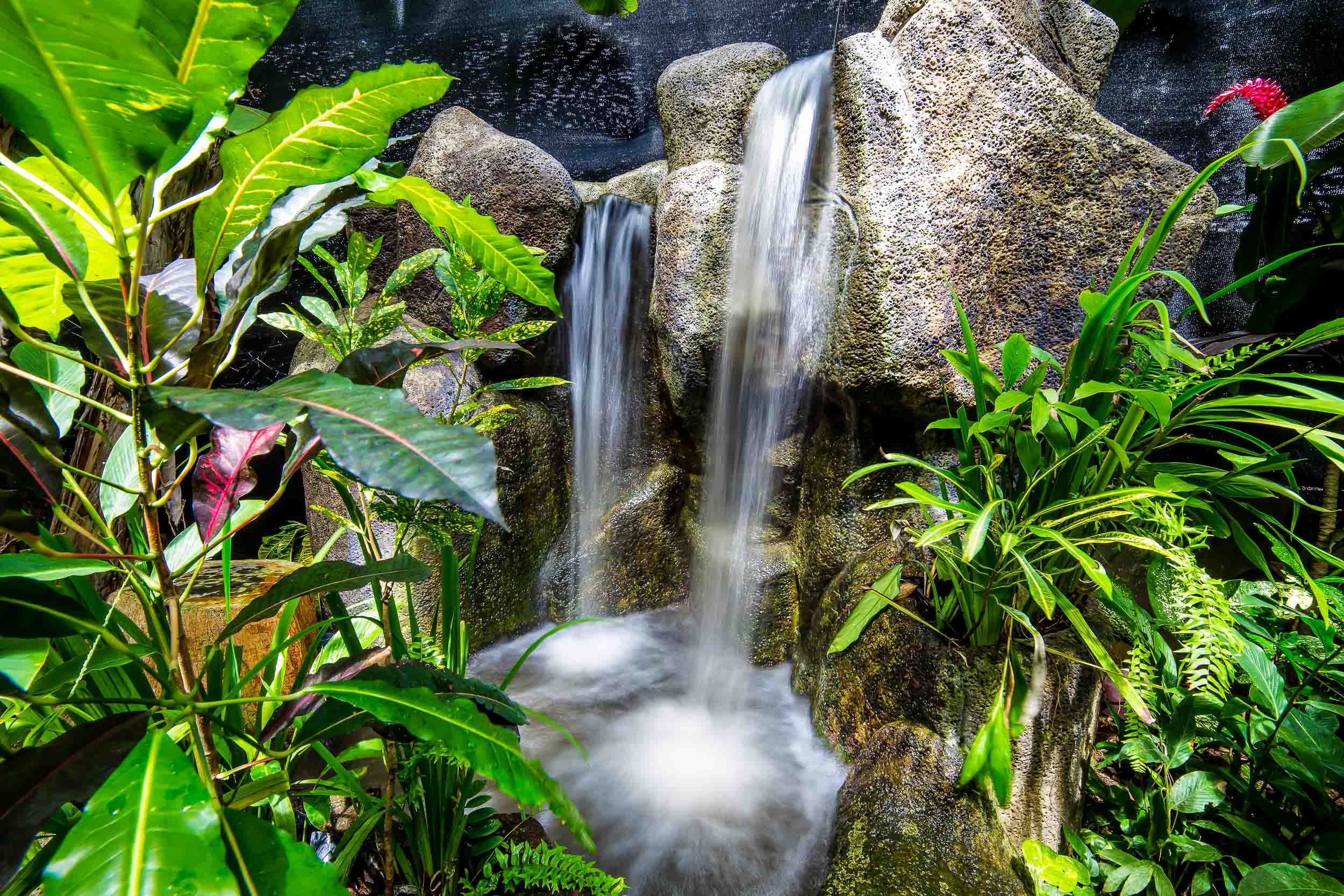 7 bed Hotel / Leisure For Sale in Quepos, Puntarenas - thumb 3