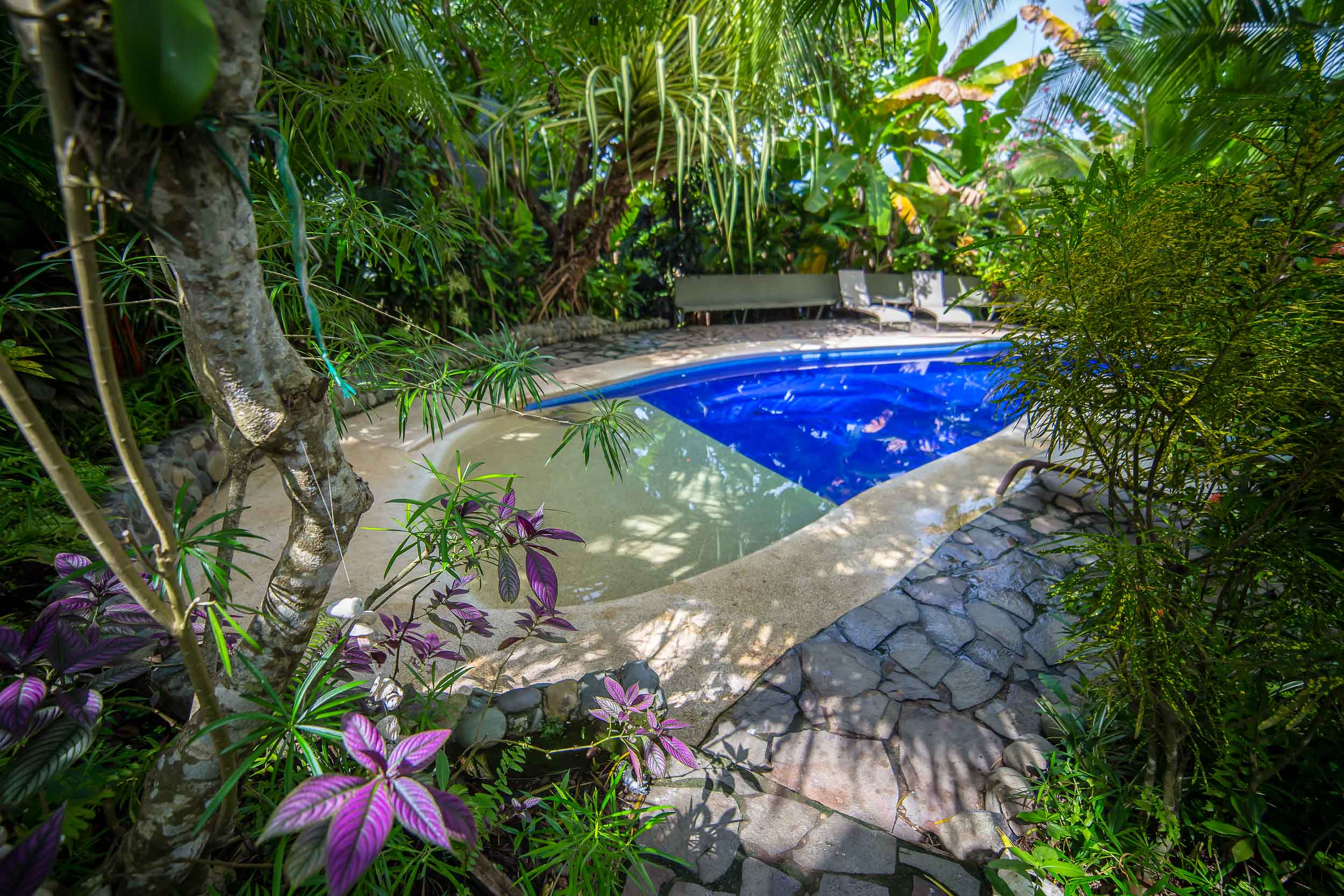 7 bed Hotel / Leisure For Sale in Quepos, Puntarenas - thumb 5