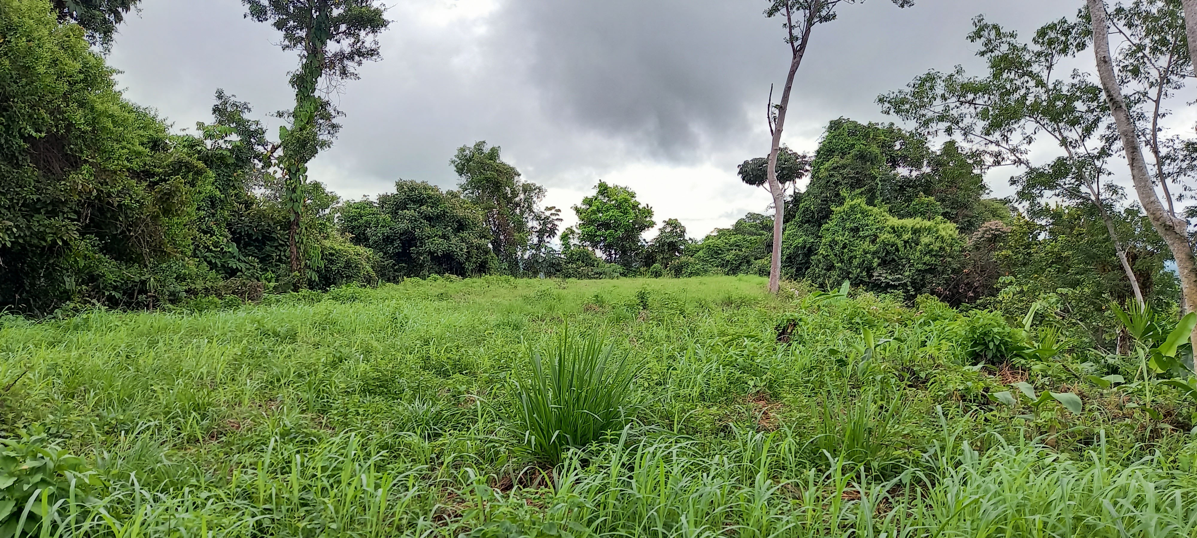 0 bed Land For Sale in Ojochal, Puntarenas - thumb 2