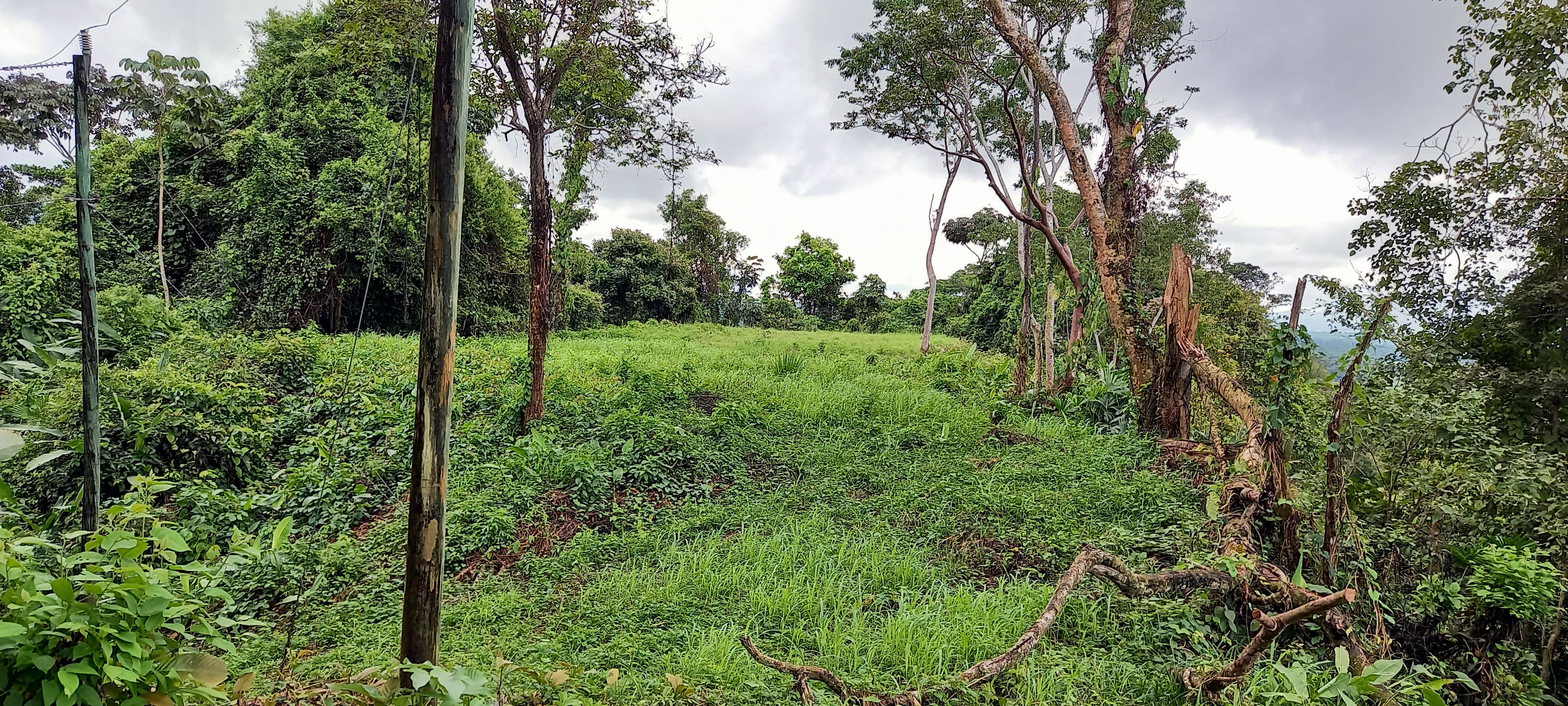 0 bed Land For Sale in Ojochal, Puntarenas - thumb 1