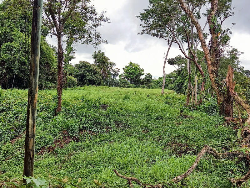 0 bed Land For Sale in Ojochal, Puntarenas - 1