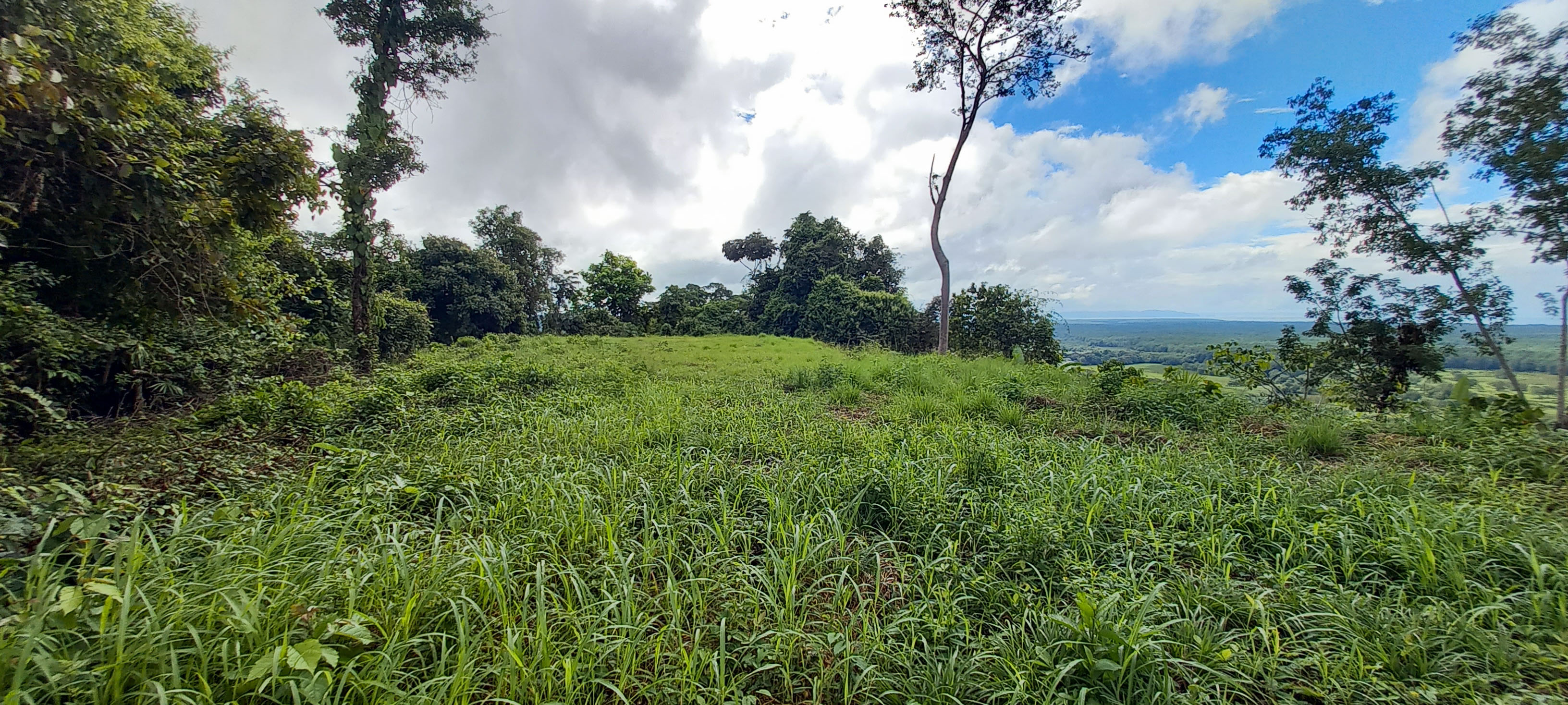 0 bed Land For Sale in Ojochal, Puntarenas - thumb 5