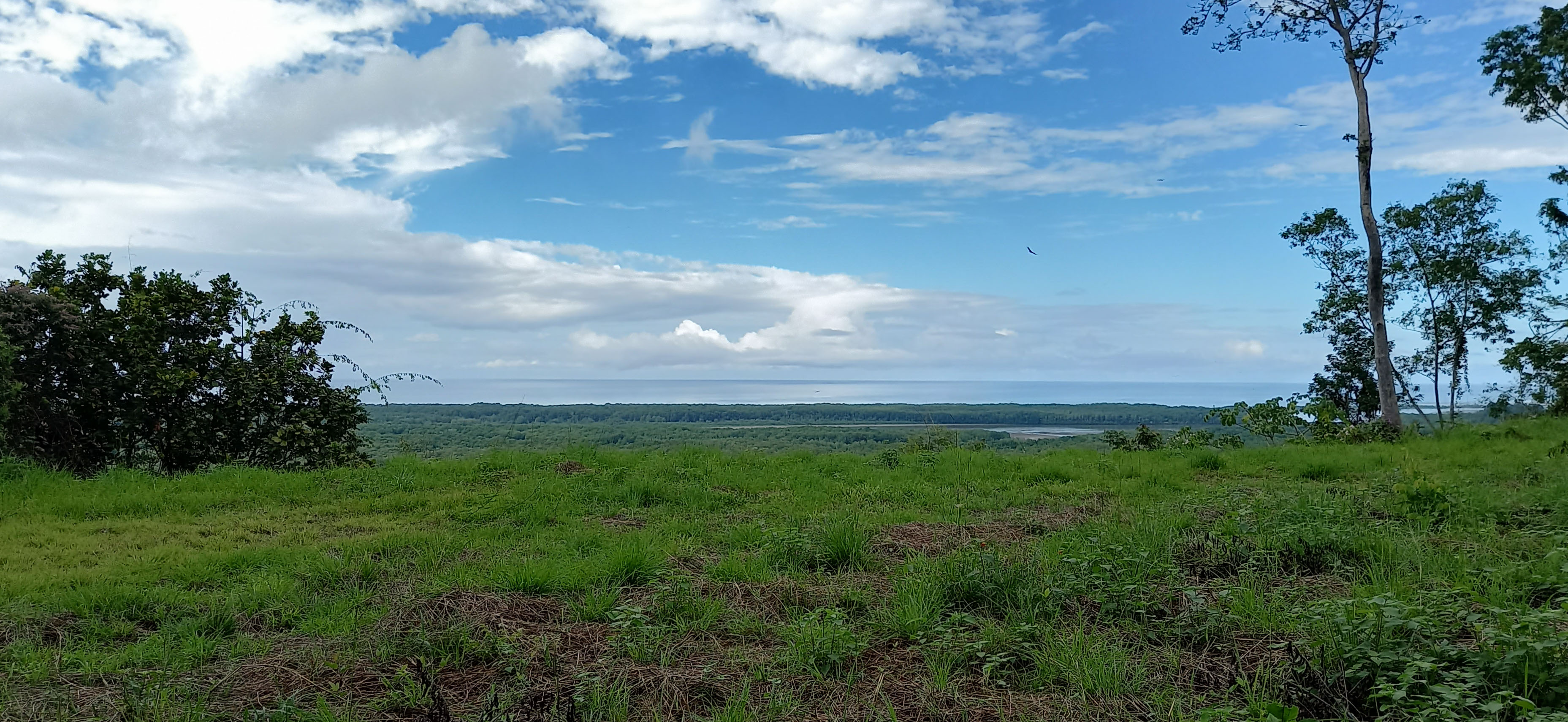 0 bed Land For Sale in Ojochal, Puntarenas - thumb 4