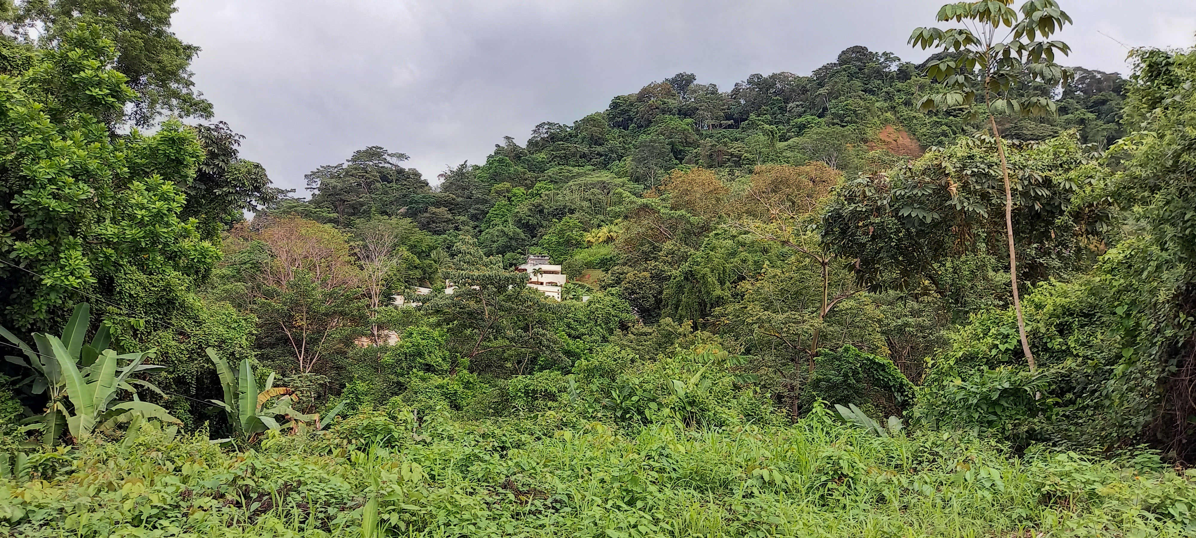 0 bed Land For Sale in Ojochal, Puntarenas - thumb 7