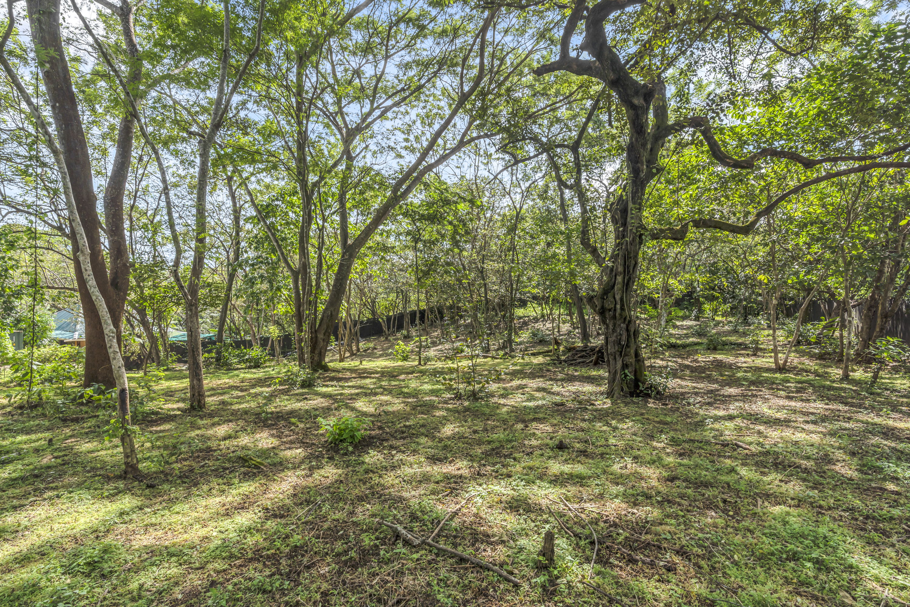 2 bed Single Family Homes For Sale in Tamarindo, Guanacaste - thumb 19