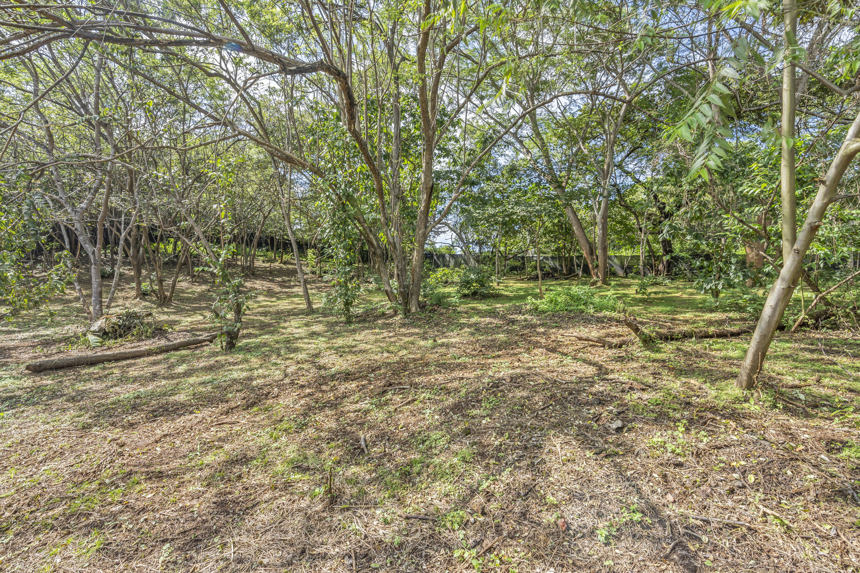 2 bed Single Family Homes For Sale in Tamarindo, Guanacaste - thumb 18