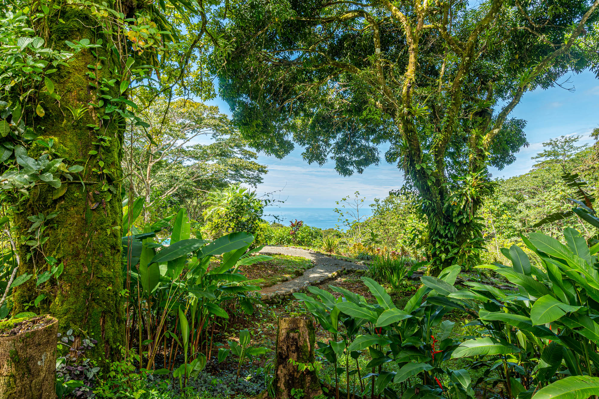 5 bed Single Family Homes For Sale in Dominical, Puntarenas - thumb 28