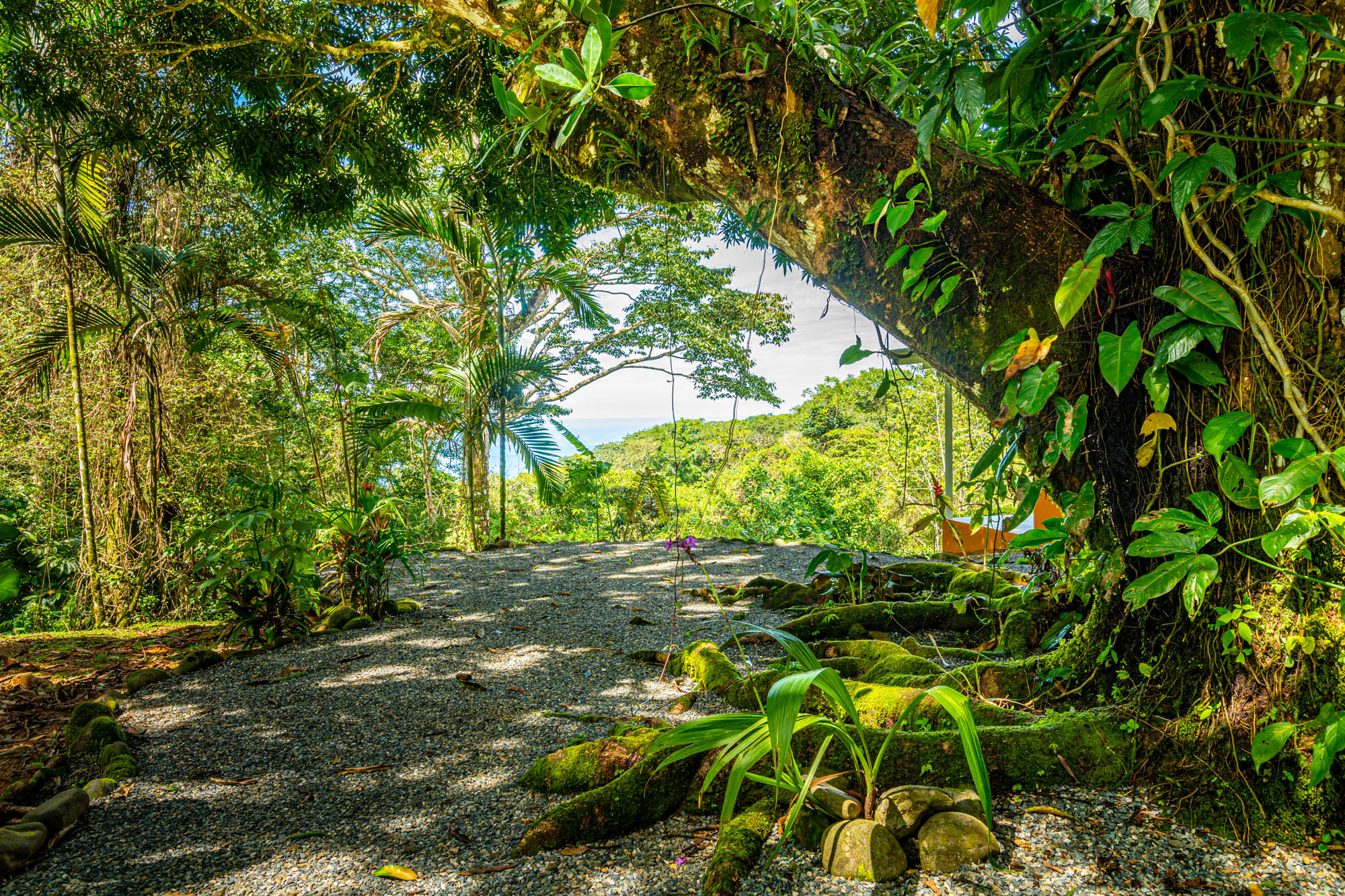 5 bed Single Family Homes For Sale in Dominical, Puntarenas - thumb 30