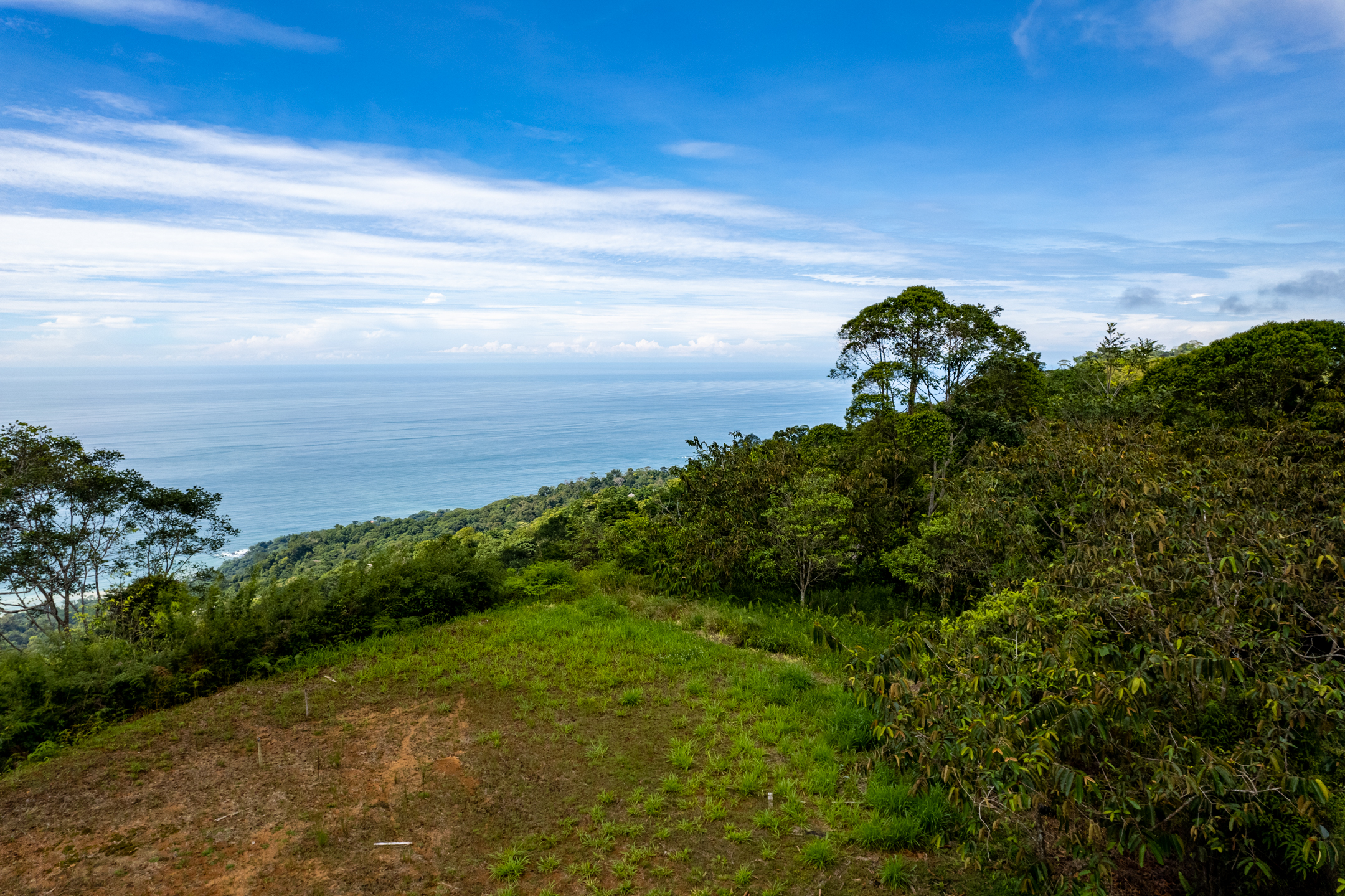 0 bed Land For Sale in Dominical, Puntarenas - thumb 9