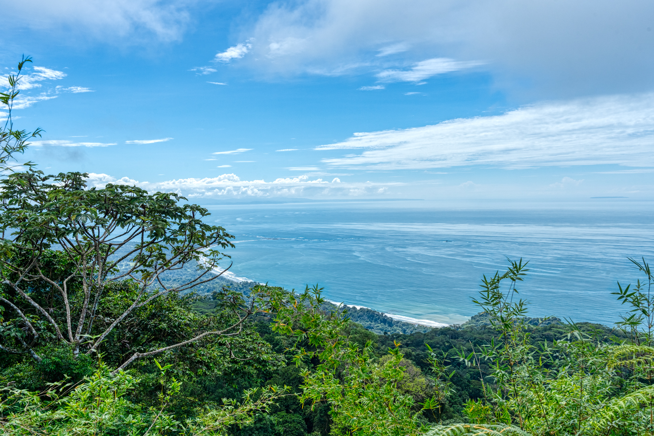 0 bed Land For Sale in Dominical, Puntarenas - thumb 2