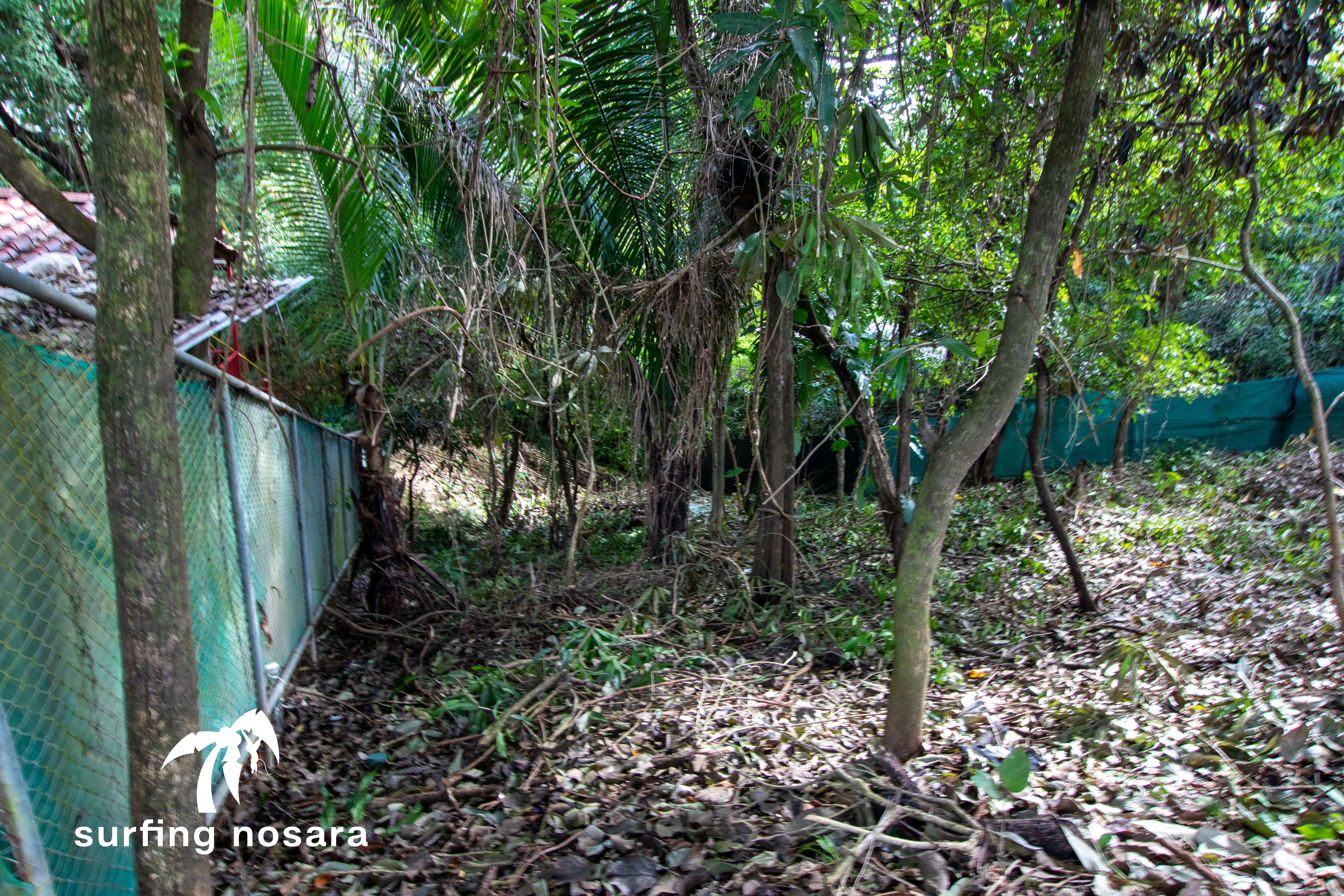 0 bed Land For Sale in Playa Pelada, Guanacaste - thumb 8