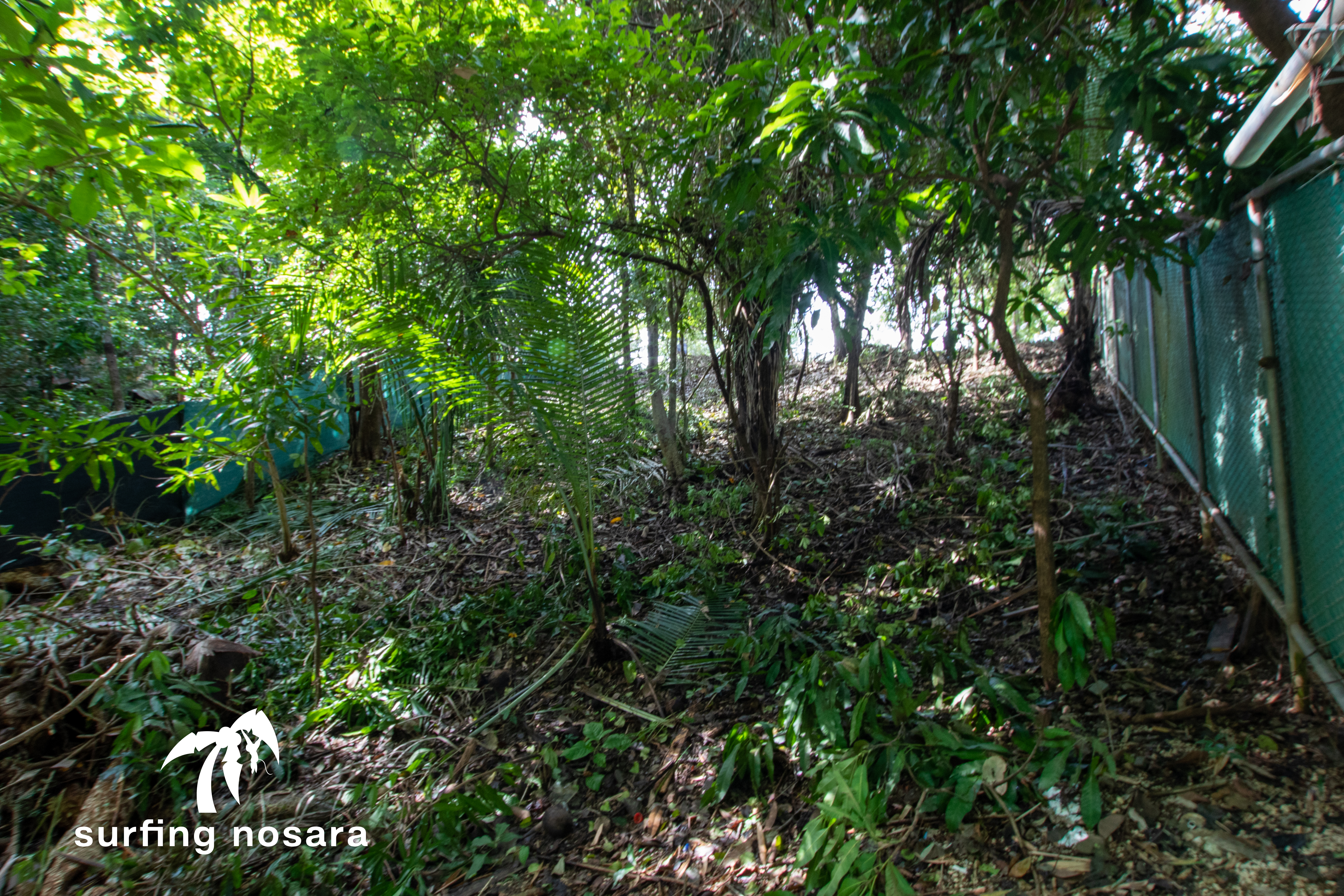 0 bed Land For Sale in Playa Pelada, Guanacaste - thumb 4