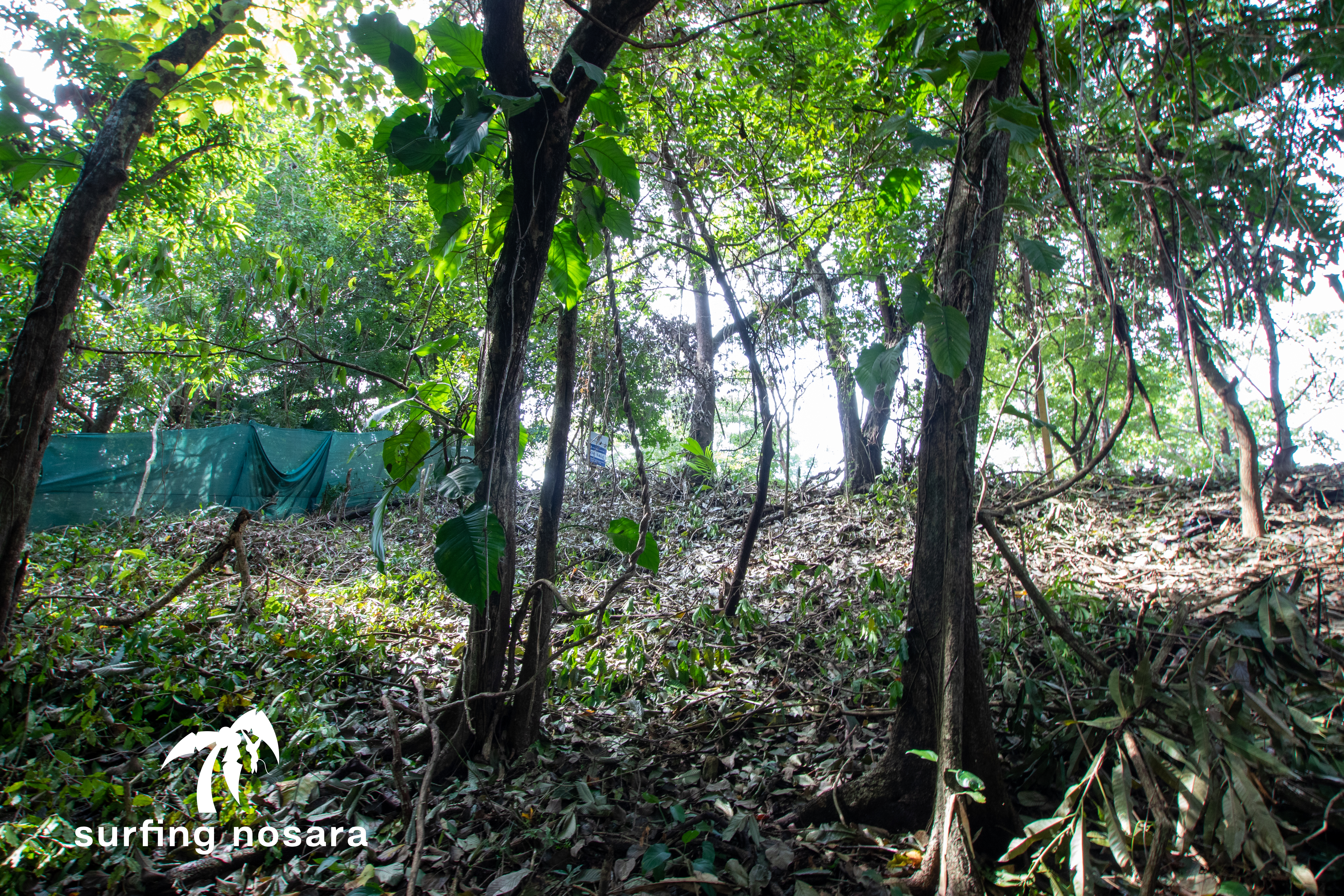 0 bed Land For Sale in Playa Pelada, Guanacaste - thumb 13