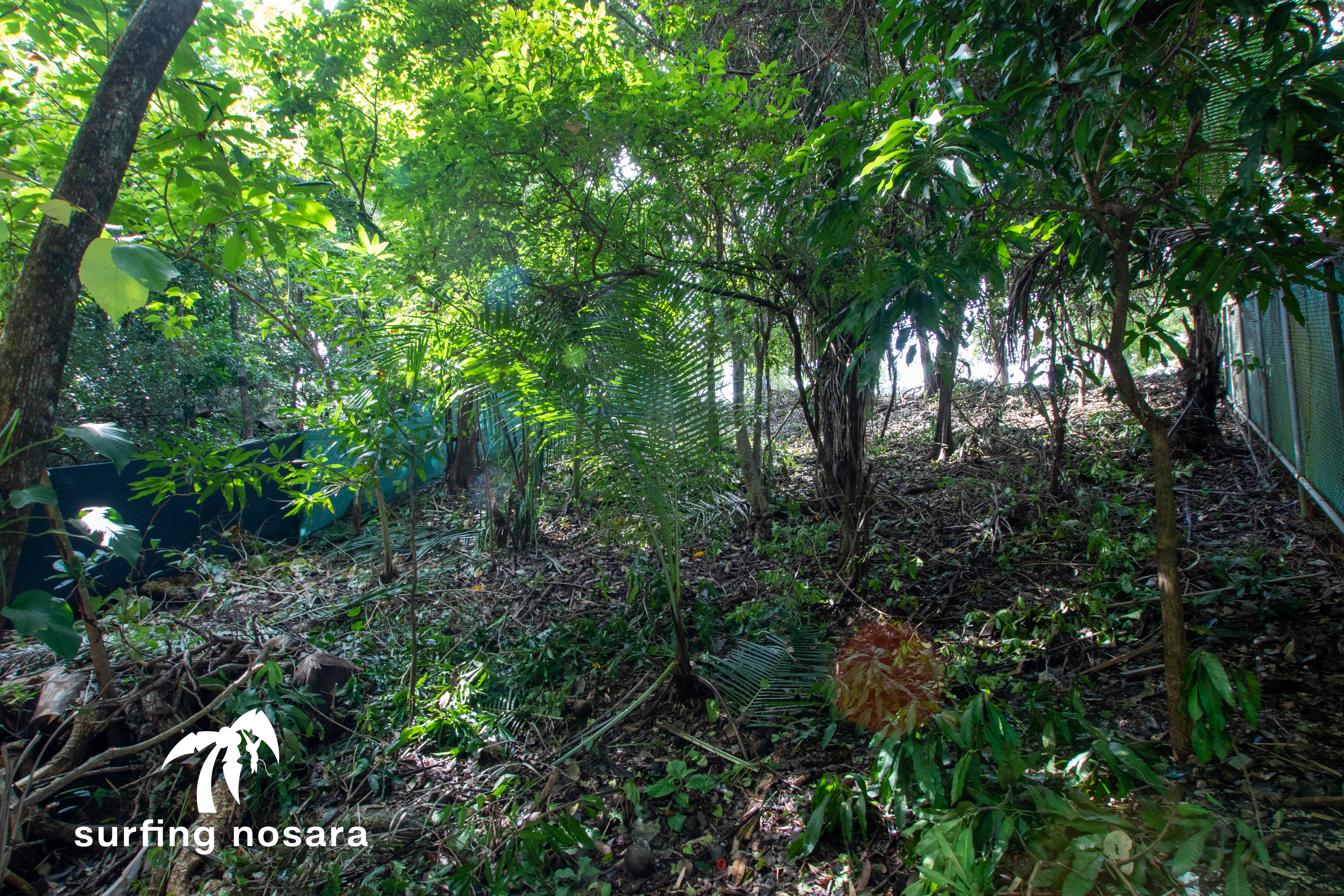 0 bed Land For Sale in Playa Pelada, Guanacaste - thumb 15