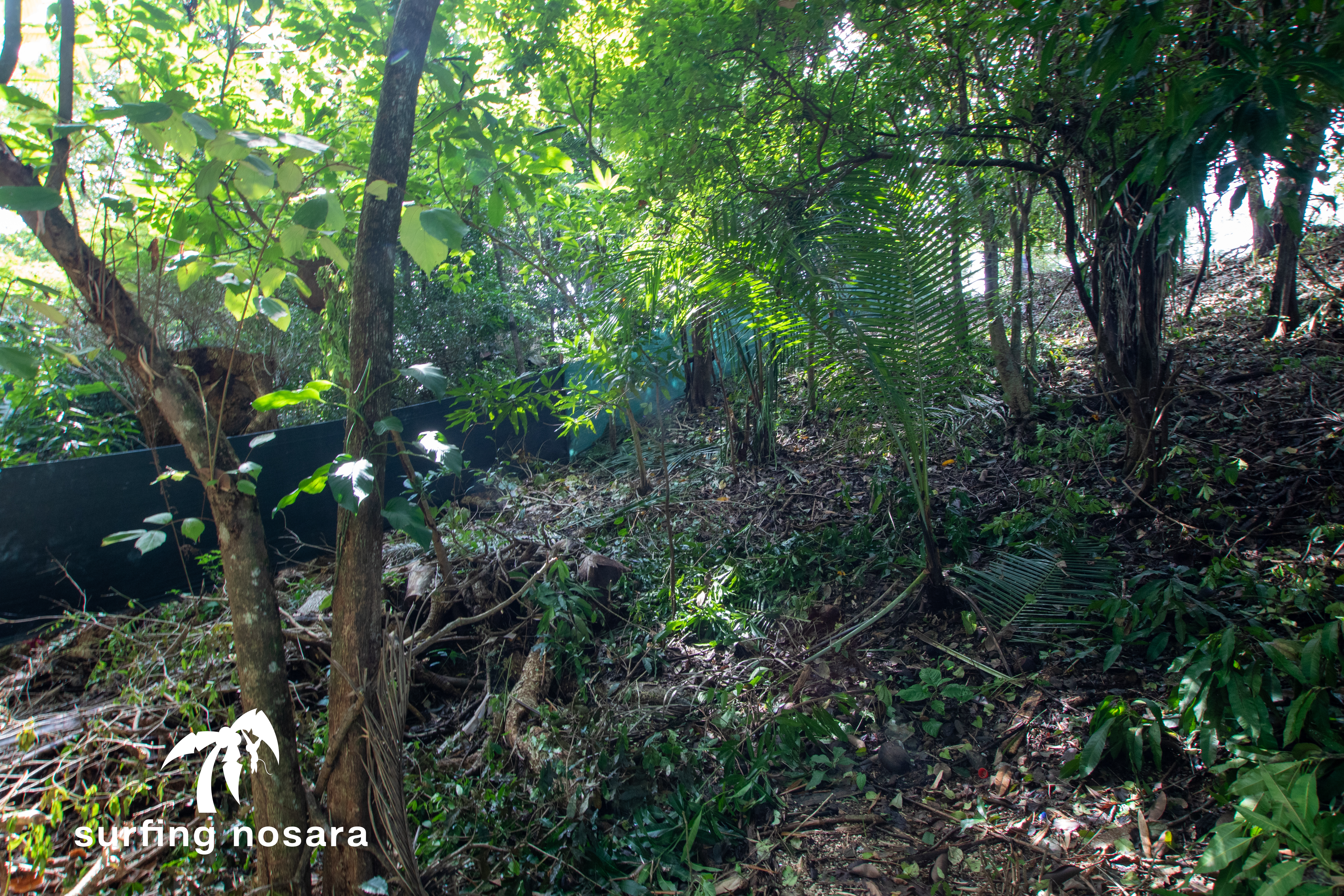 0 bed Land For Sale in Playa Pelada, Guanacaste - thumb 3