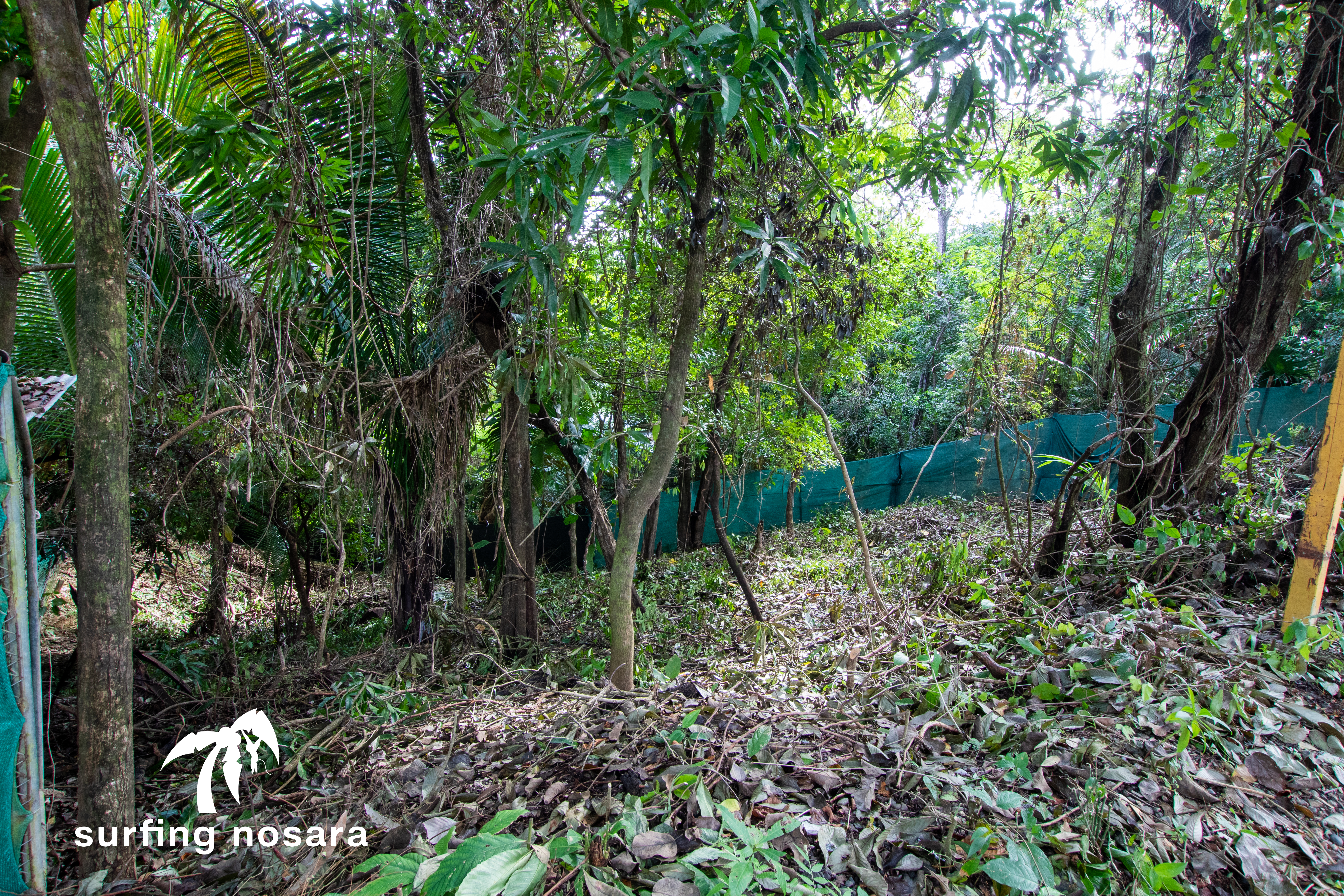 0 bed Land For Sale in Playa Pelada, Guanacaste - thumb 7