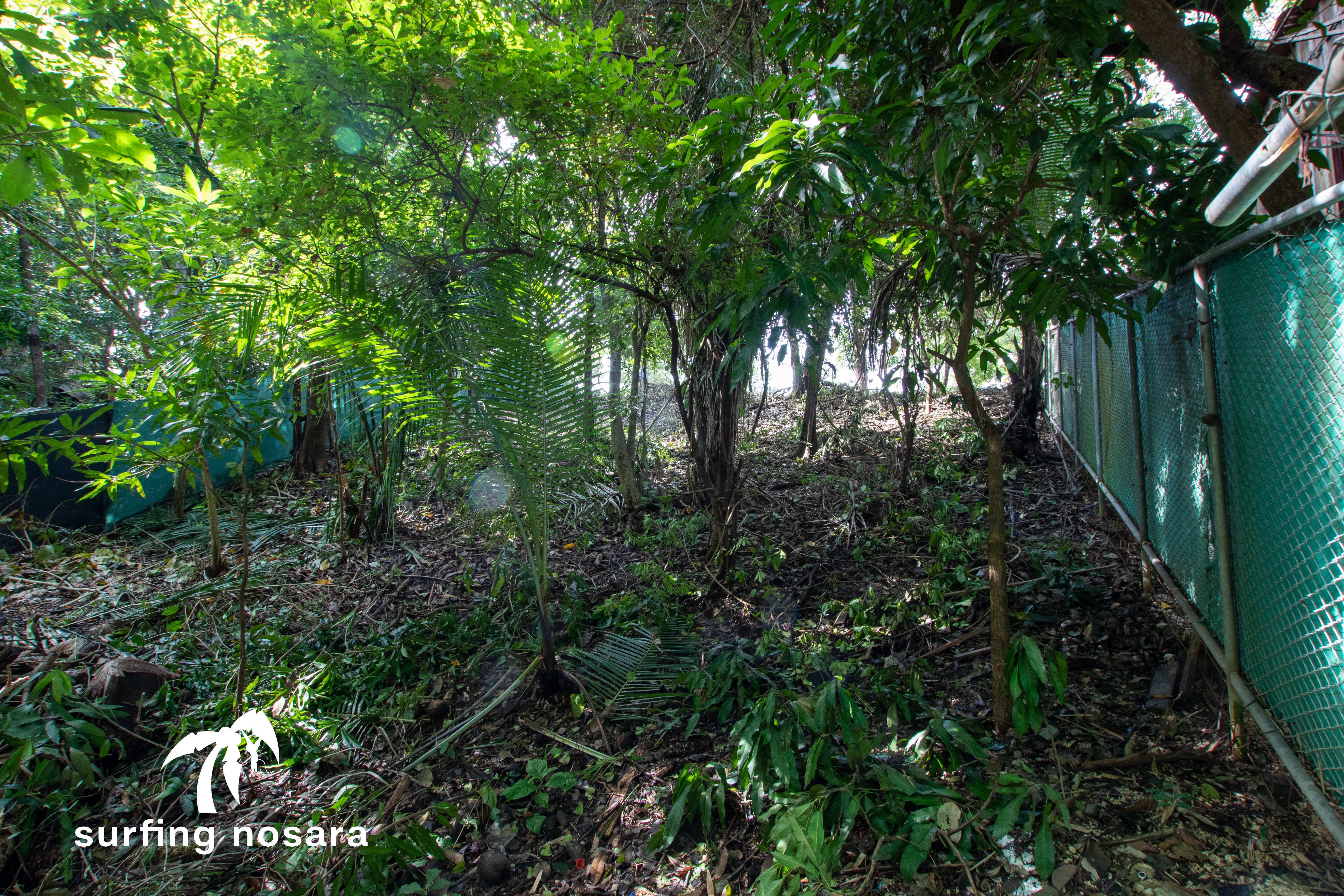 0 bed Land For Sale in Playa Pelada, Guanacaste - thumb 14