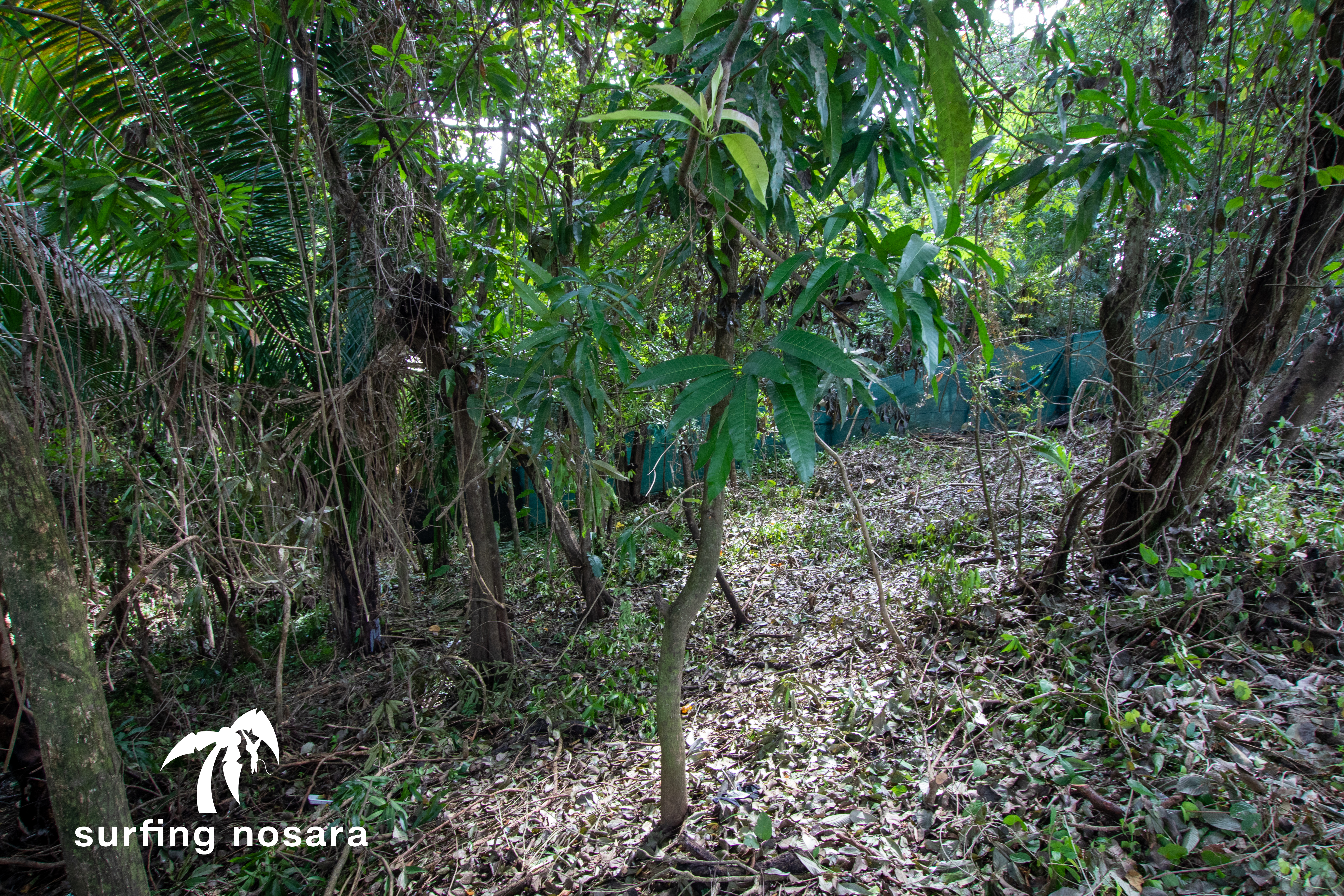 0 bed Land For Sale in Playa Pelada, Guanacaste - thumb 9