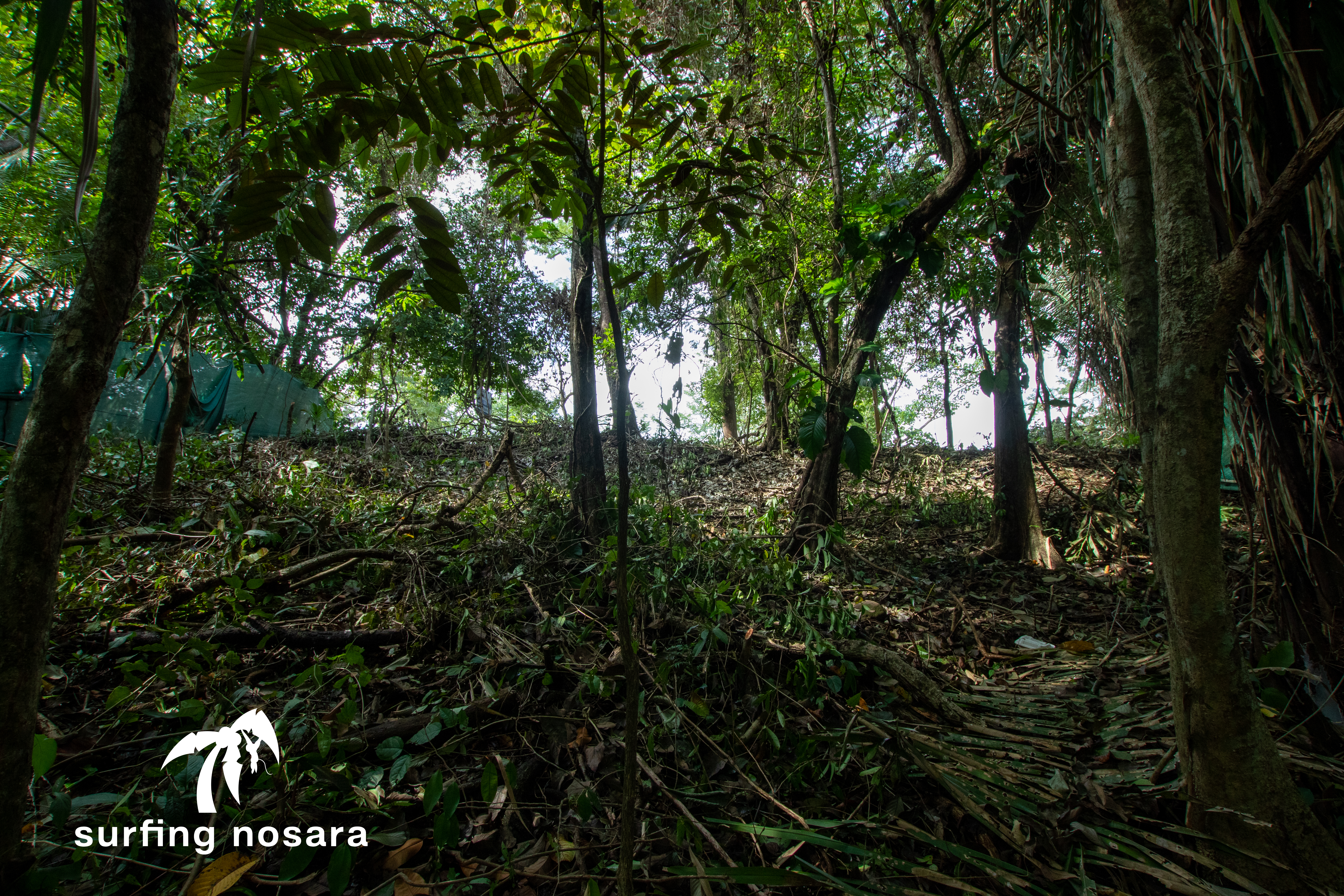 0 bed Land For Sale in Playa Pelada, Guanacaste - thumb 5