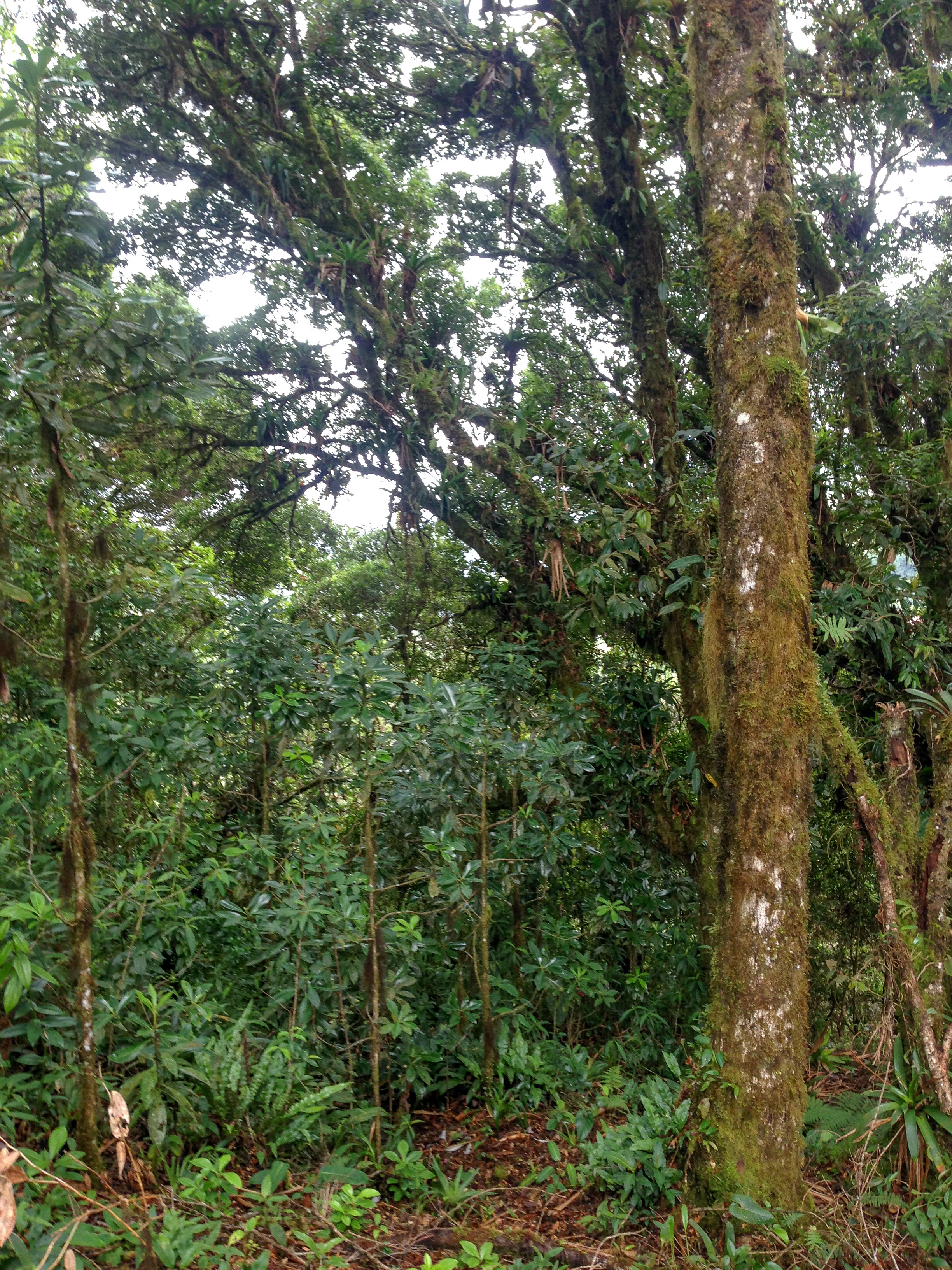 0 bed Land For Sale in Desamparados, San Jose - thumb 12