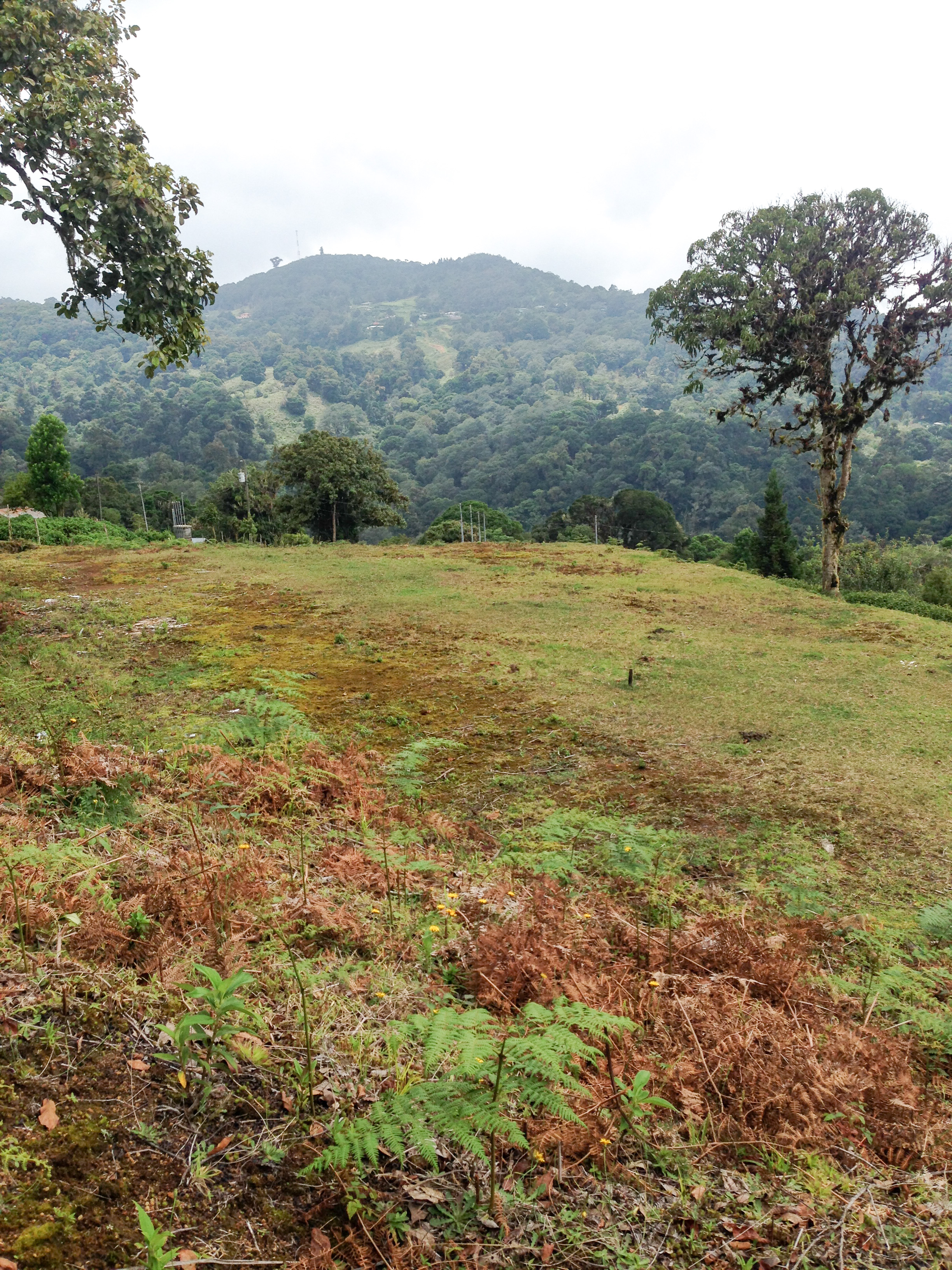 0 bed Land For Sale in Desamparados, San Jose - thumb 17