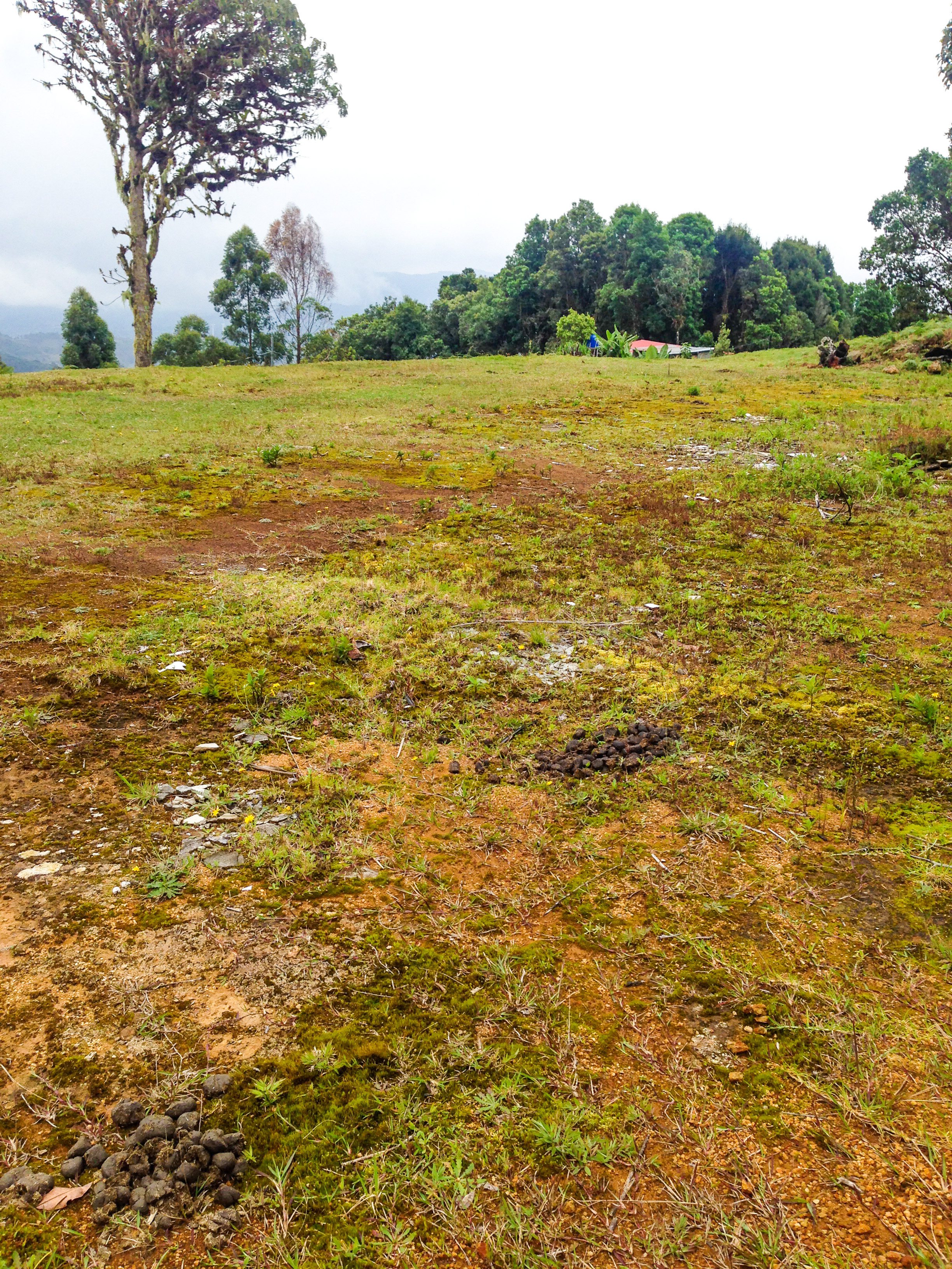 0 bed Land For Sale in Desamparados, San Jose - thumb 6