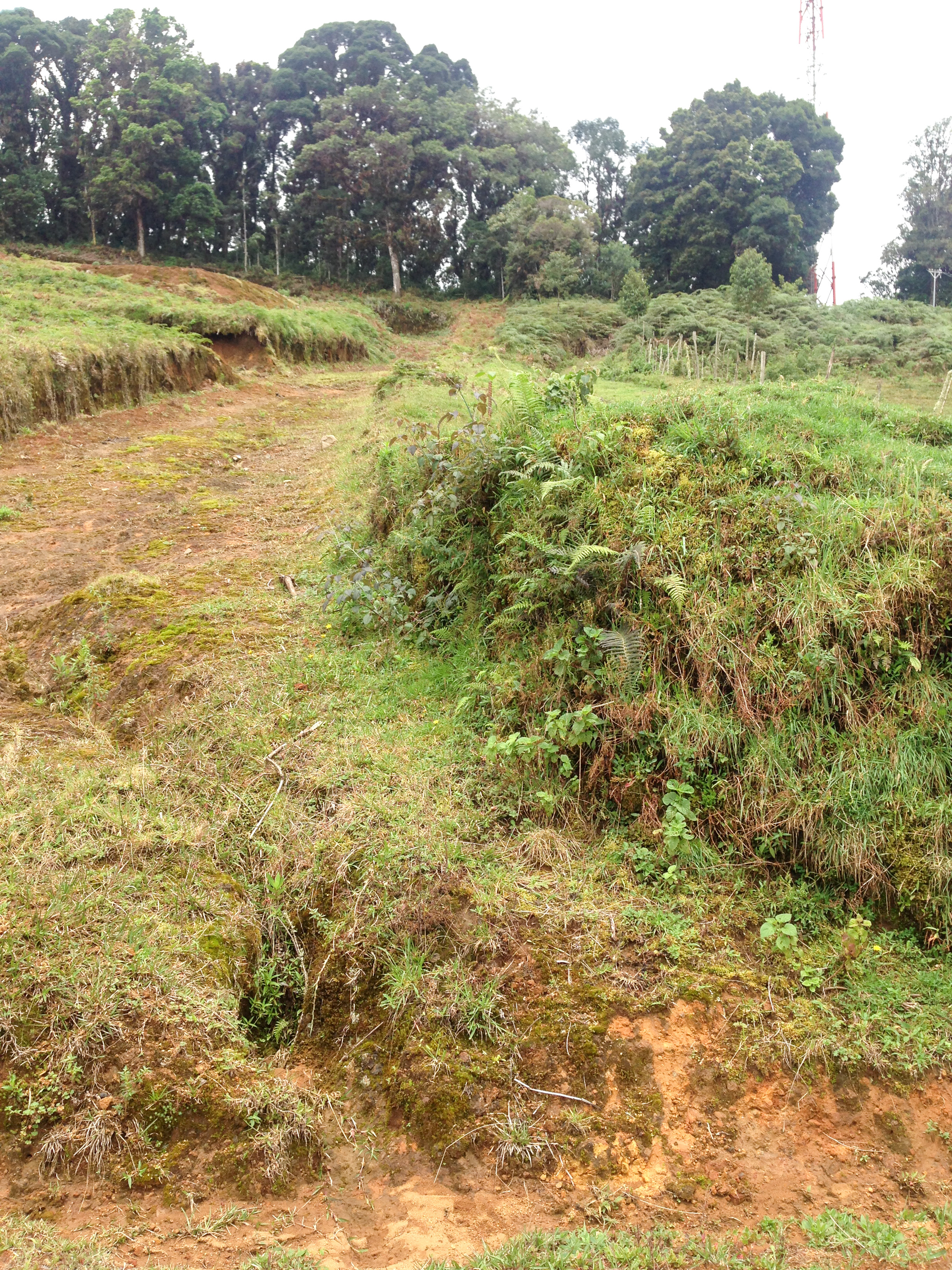 0 bed Land For Sale in Desamparados, San Jose - thumb 1