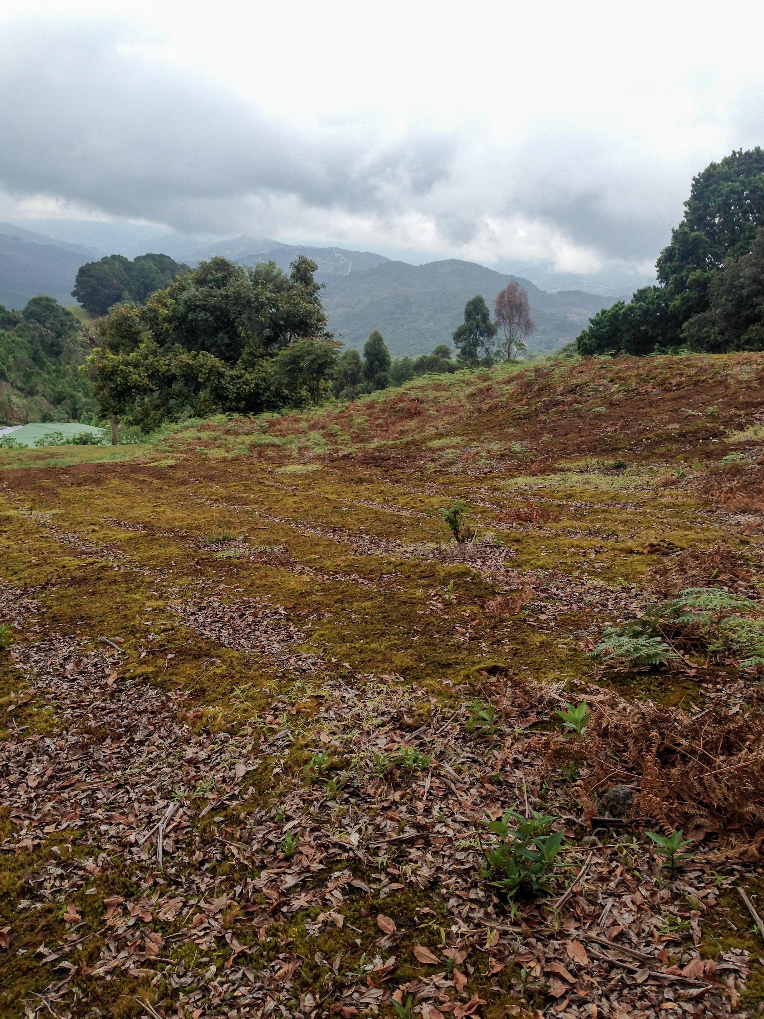 0 bed Land For Sale in Desamparados, San Jose - thumb 14