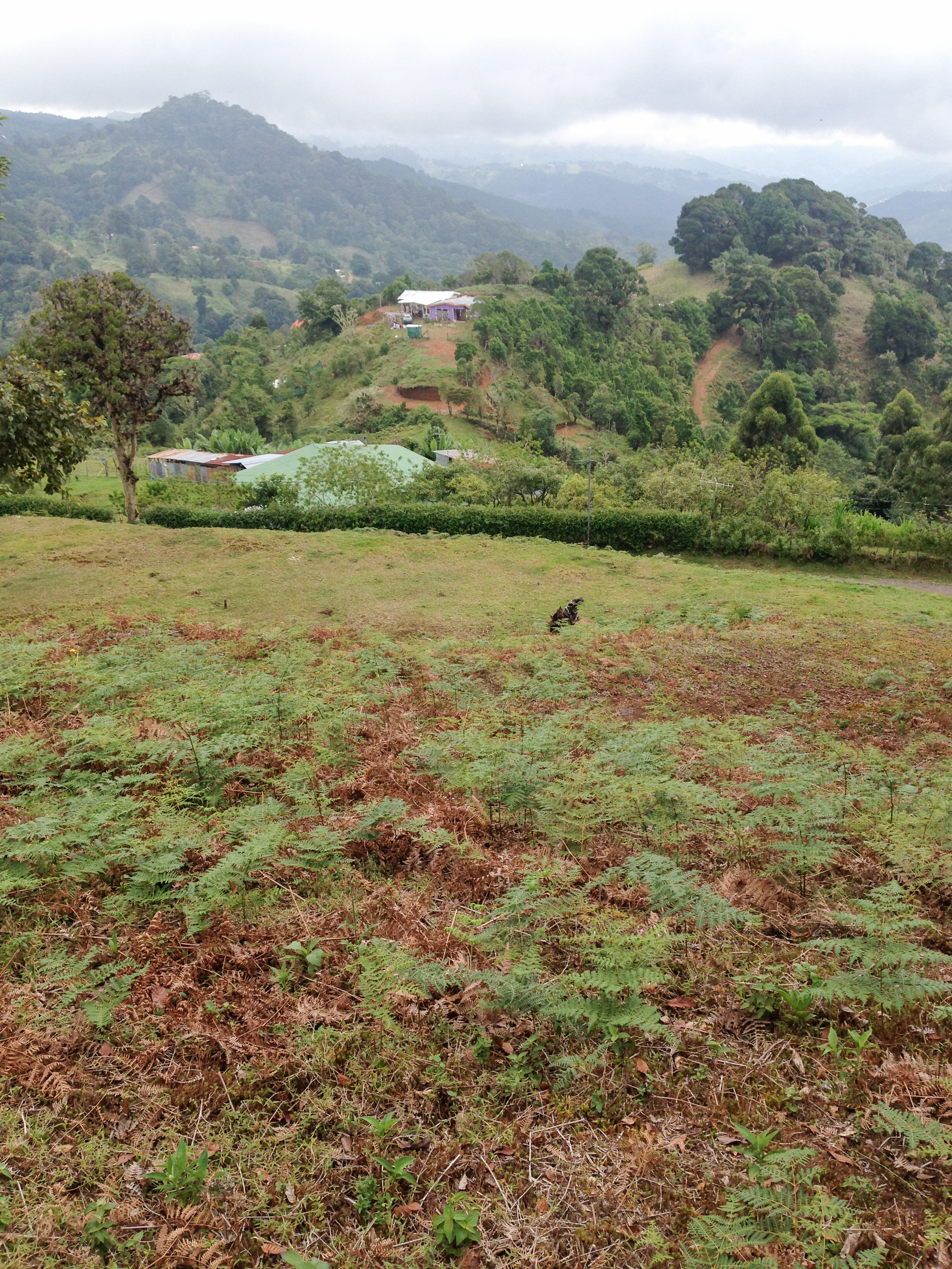0 bed Land For Sale in Desamparados, San Jose - thumb 15
