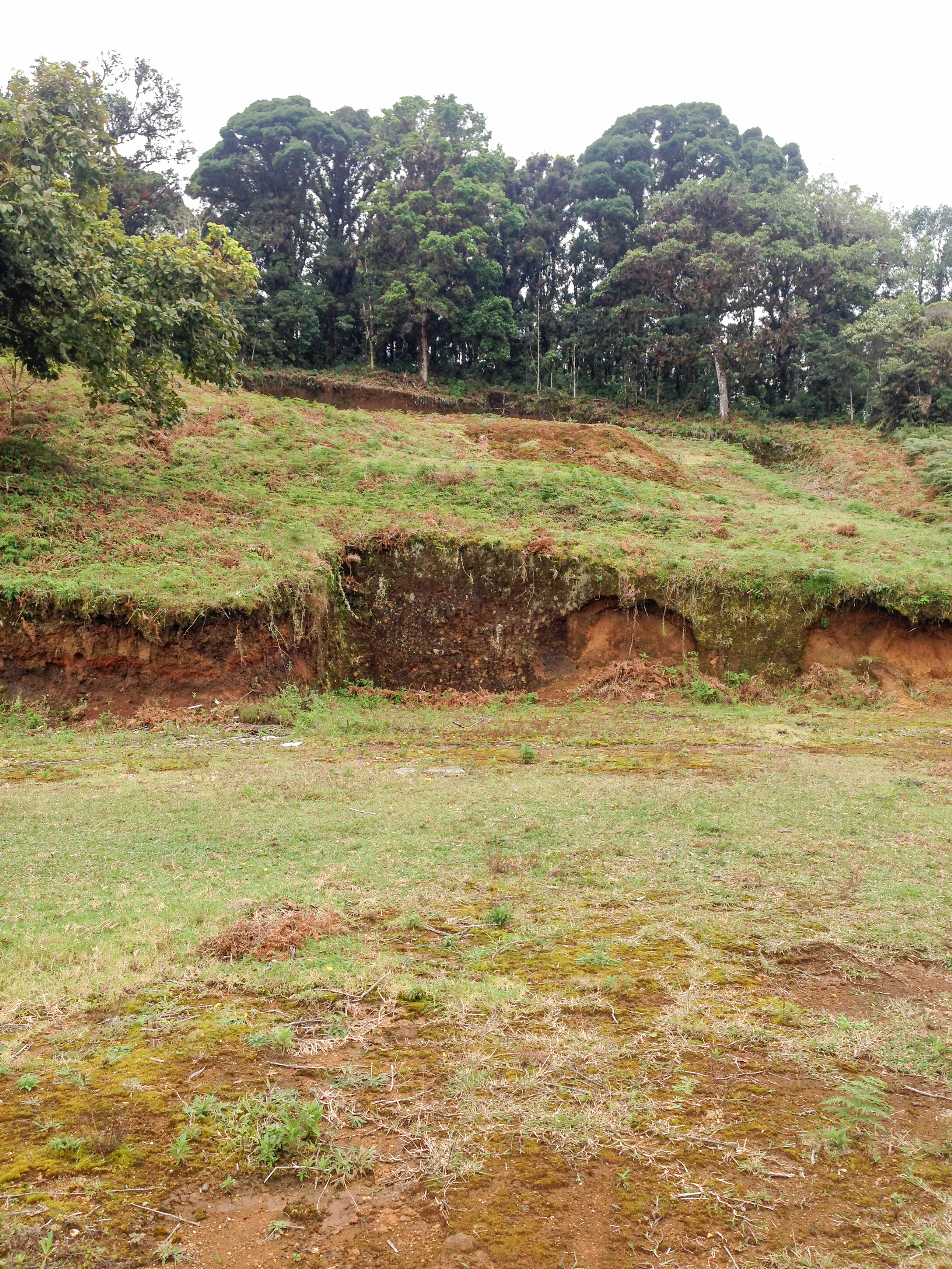 0 bed Land For Sale in Desamparados, San Jose - thumb 8