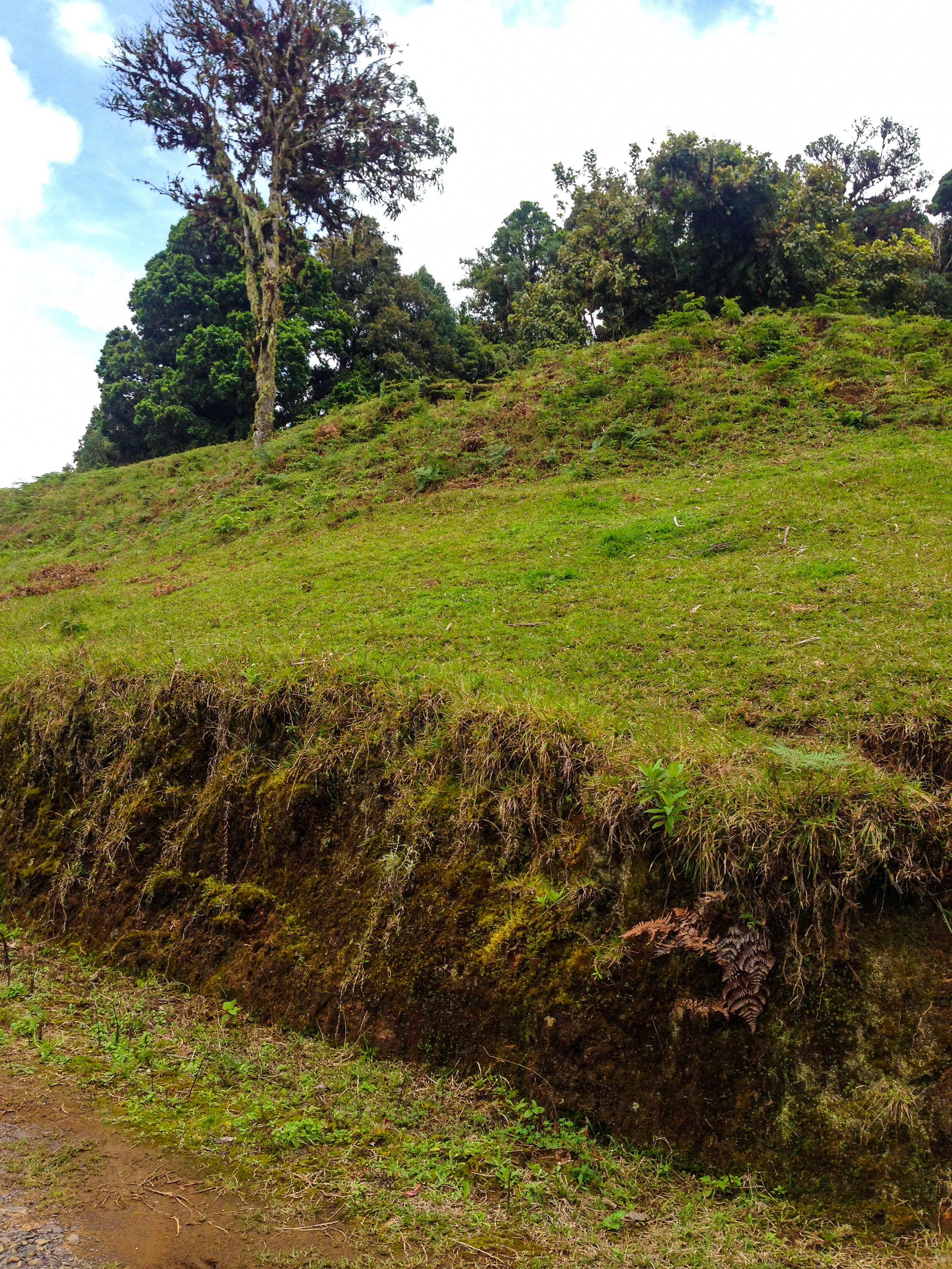 0 bed Land For Sale in Desamparados, San Jose - thumb 4