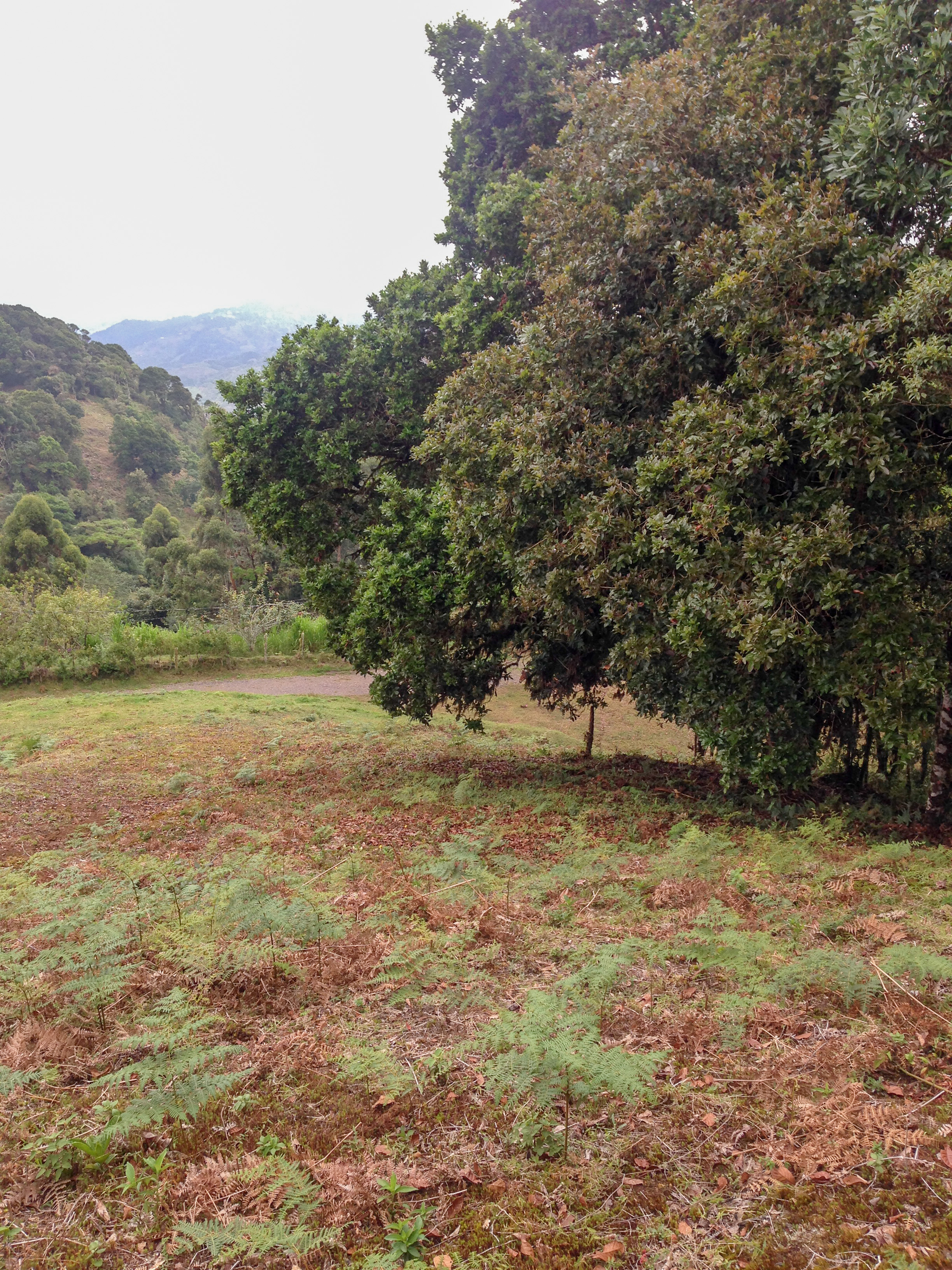 0 bed Land For Sale in Desamparados, San Jose - thumb 16